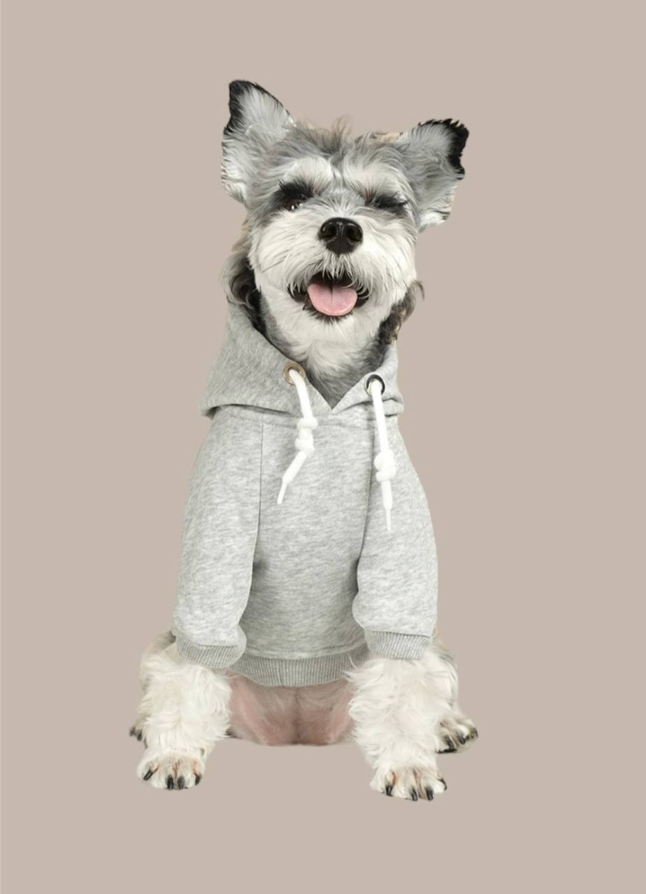 Hoodie for medium and large dogs