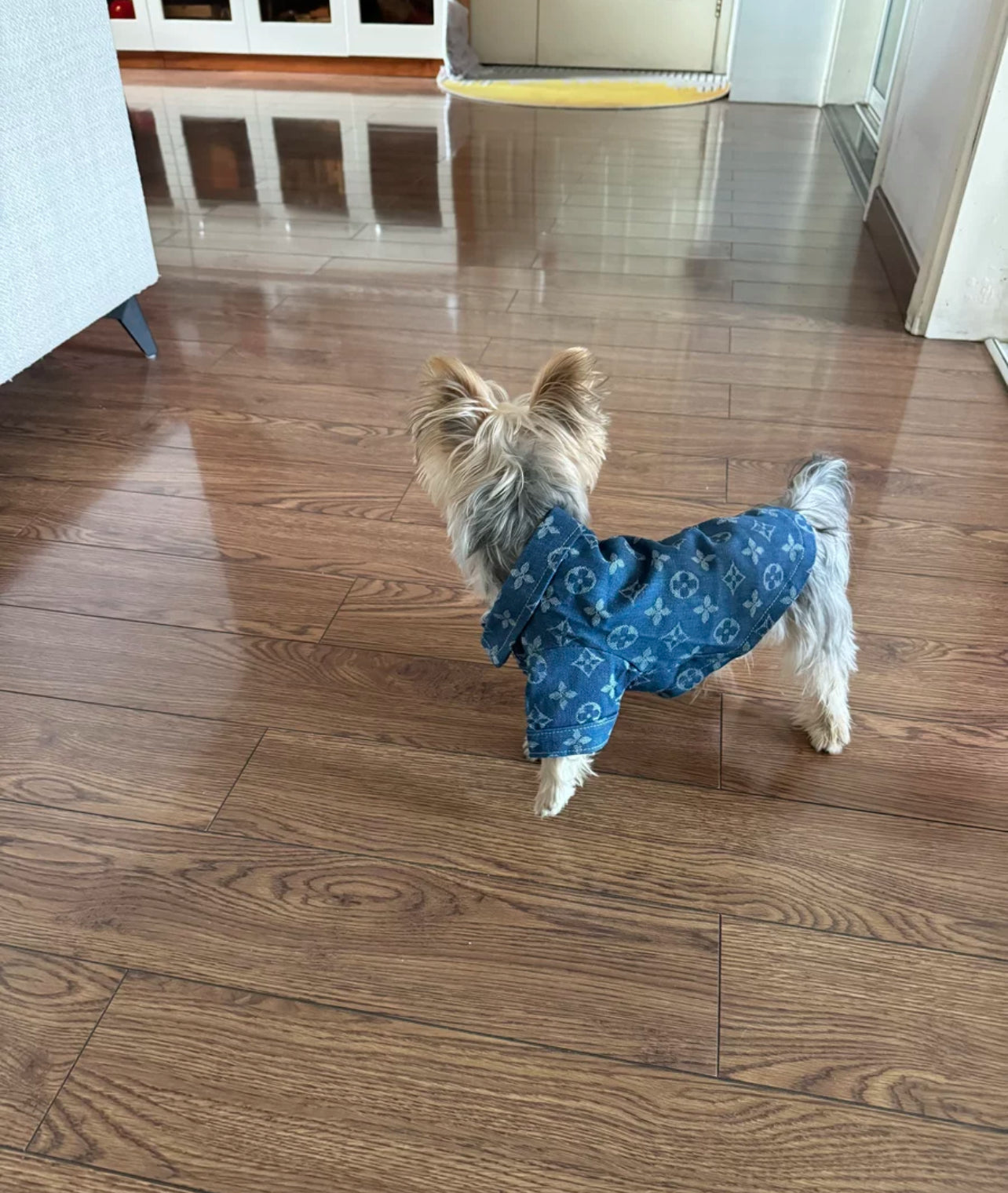 Luxury Denim Shirt for Dogs & Cats – Stylish Monogram Pet Apparel