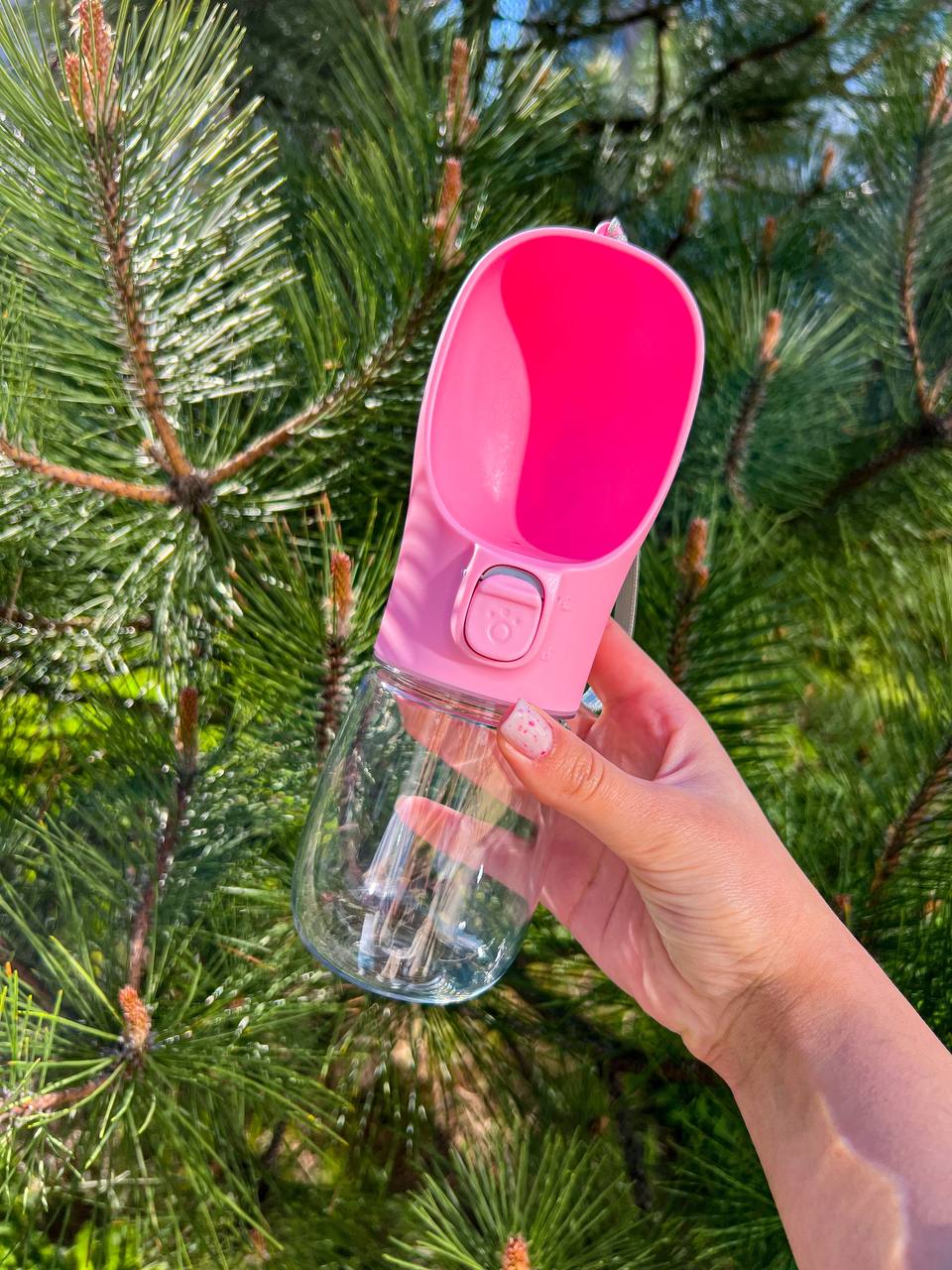 Portable drinking bowls for dogs 🐶