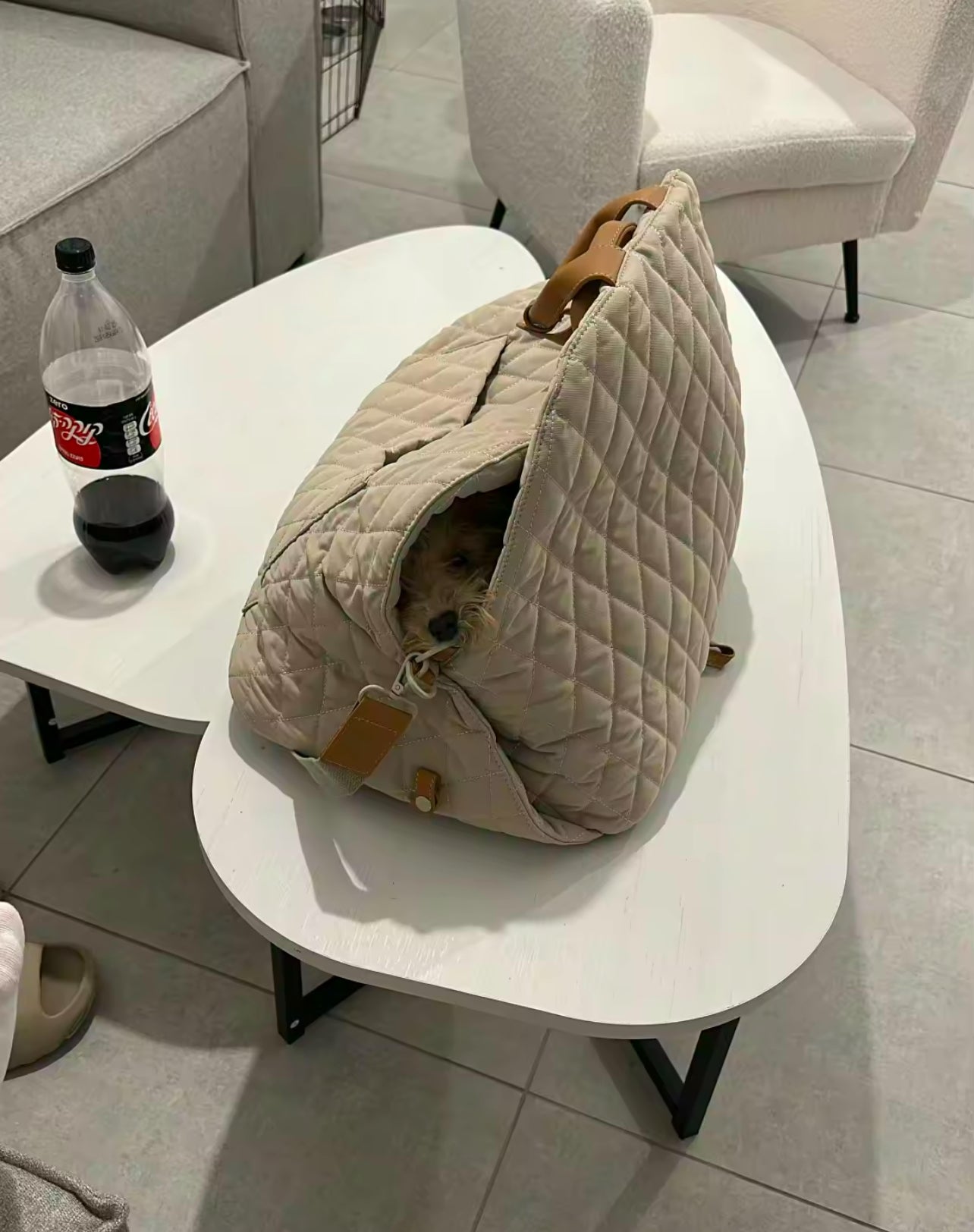 Carrying bag + car seat