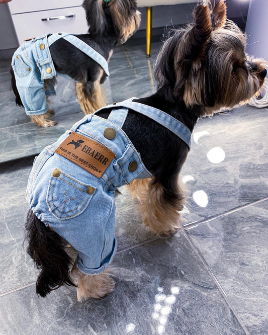 Stylish jeans for your pet 🐾