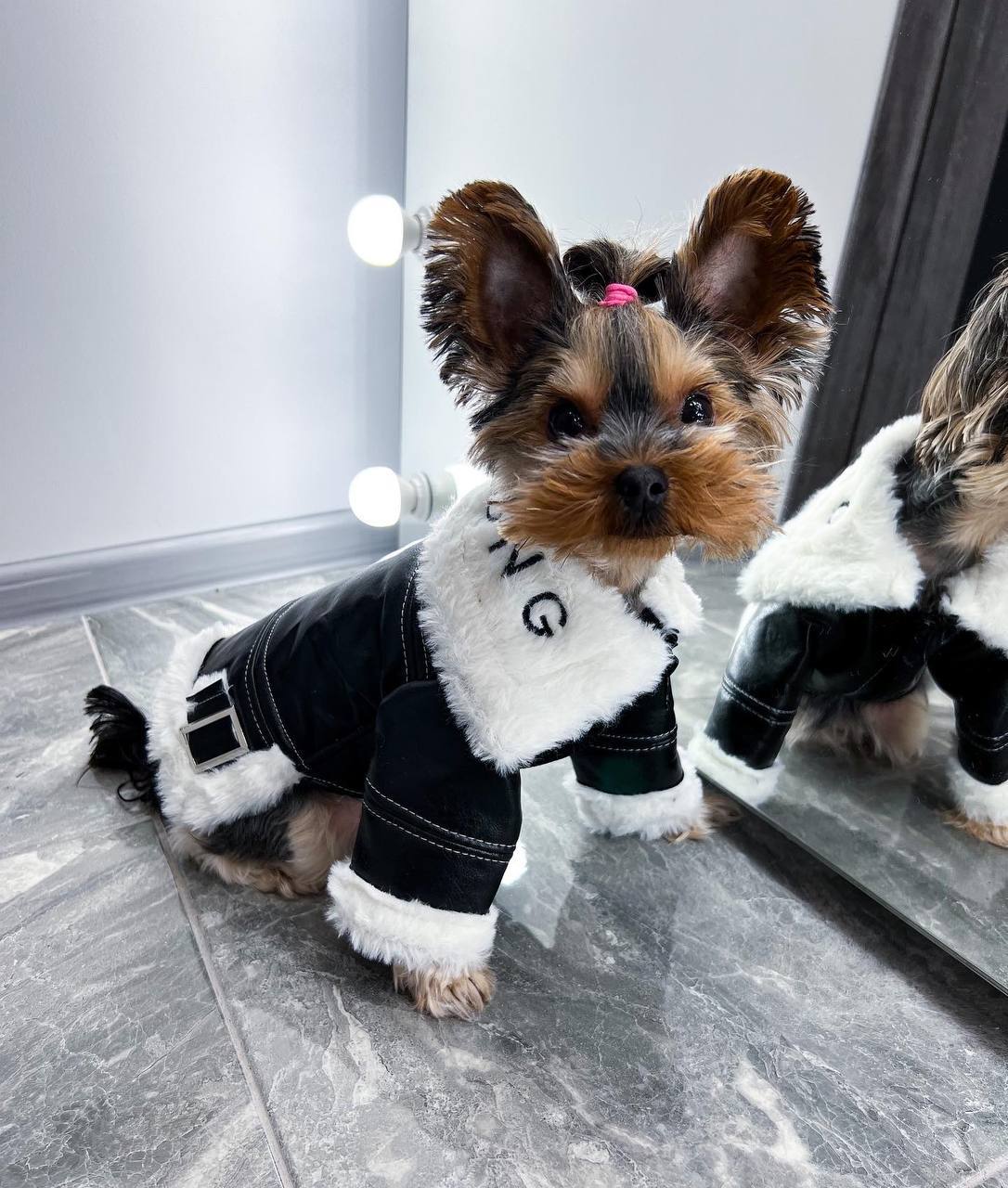 Warm sheepskin coat ❄️🐶