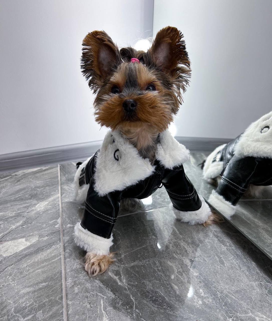 Warm sheepskin coat ❄️🐶