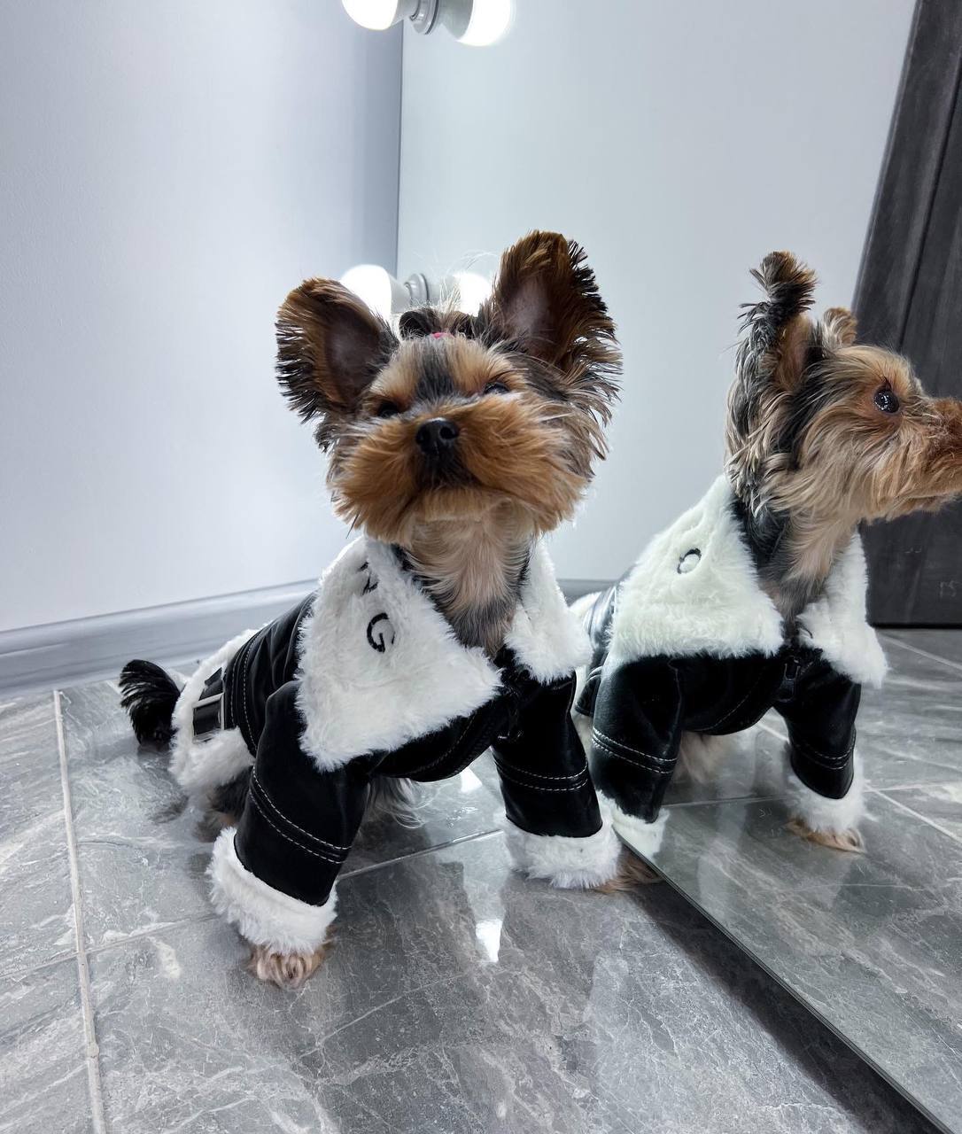 Warm sheepskin coat ❄️🐶