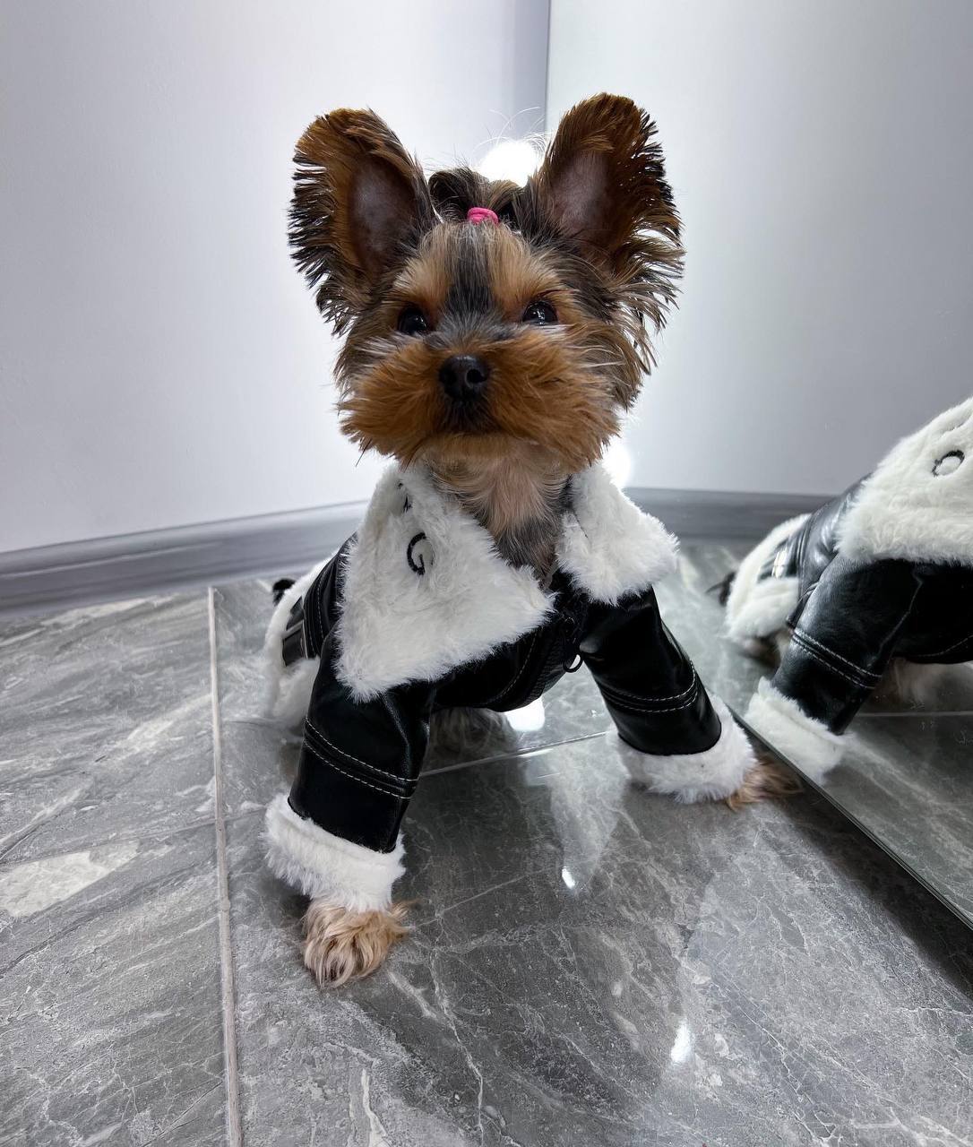 Warm sheepskin coat ❄️🐶