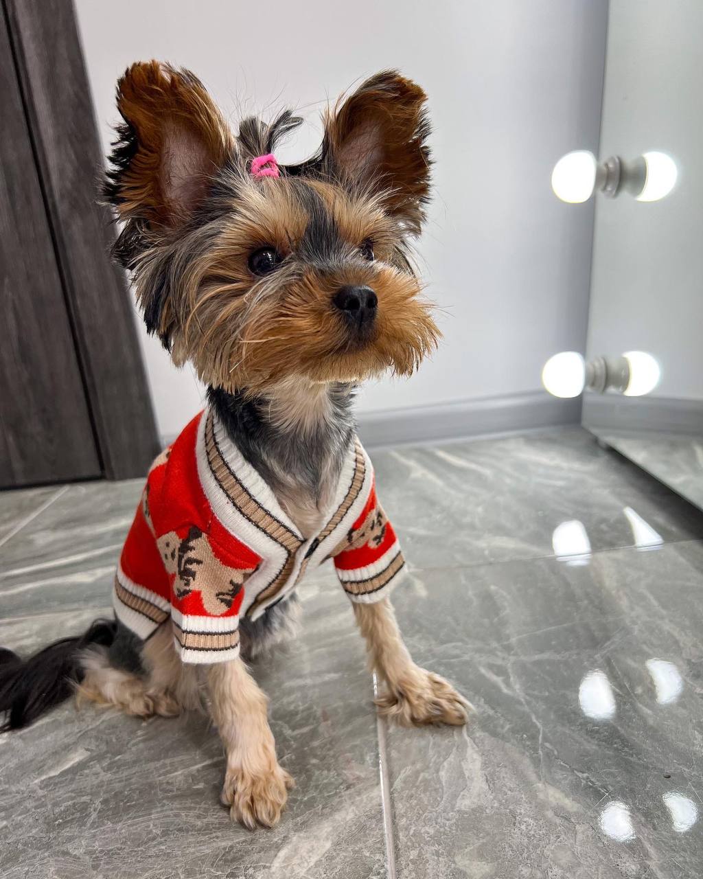 Luxury Knit Cardigan for Stylish Dogs