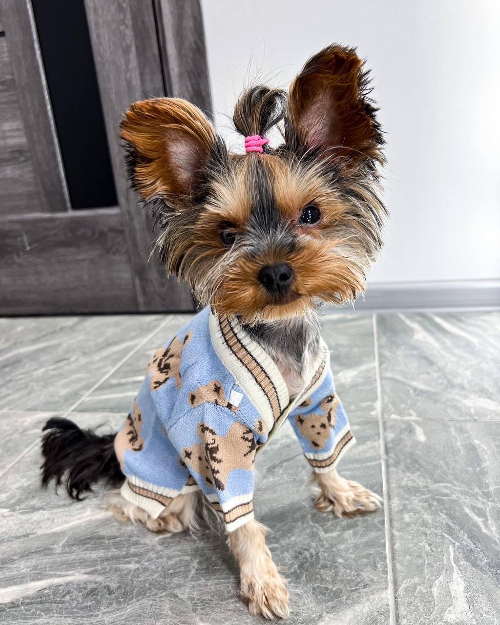 Luxury Knit Cardigan for Stylish Dogs