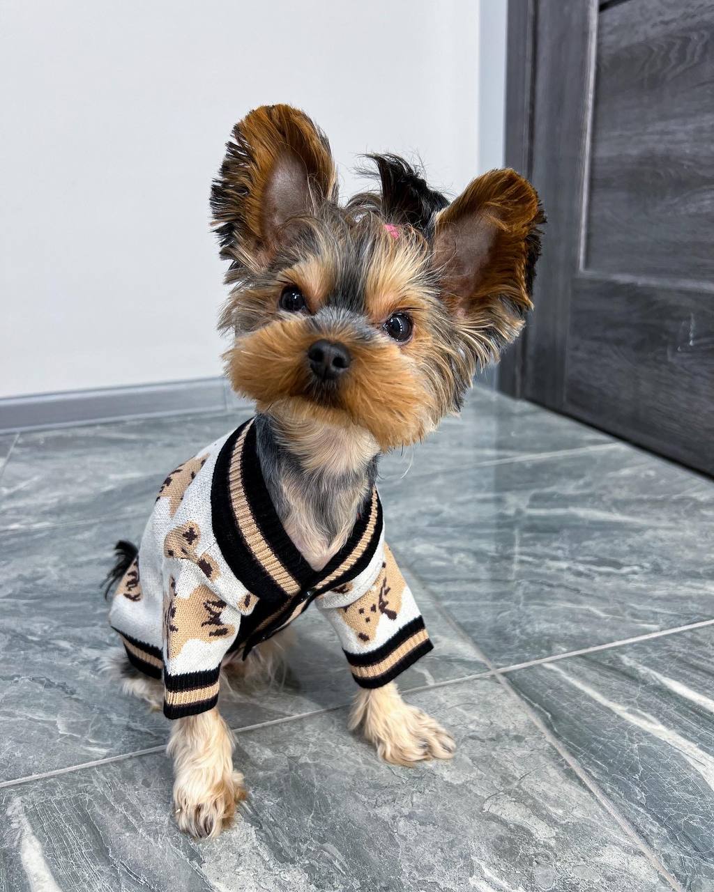 Luxury Knit Cardigan for Stylish Dogs