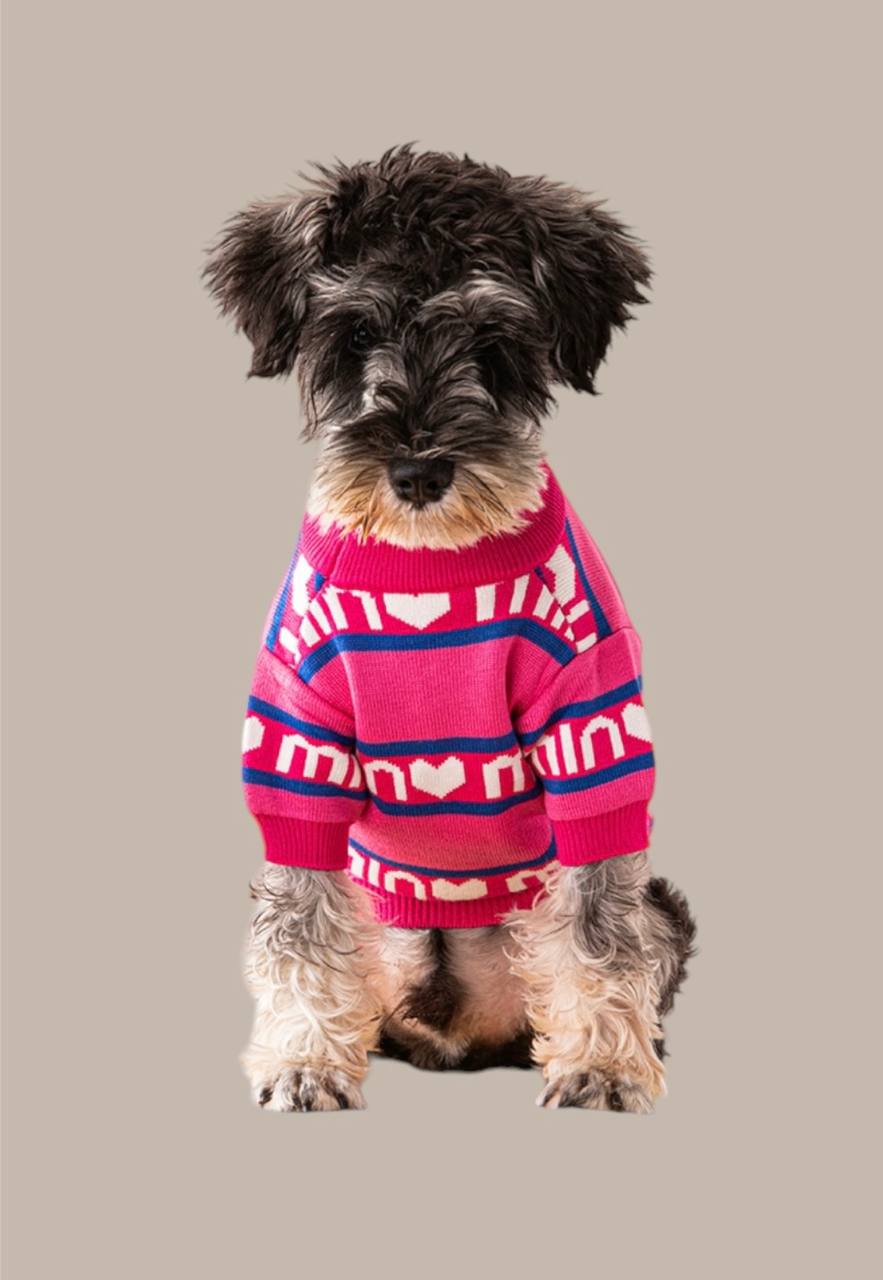 Sweater for dogs