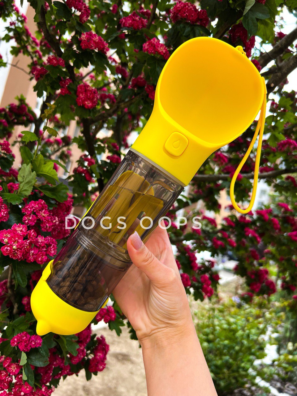 Portable drinker-feeder for walks and travels + free delivery 🎁