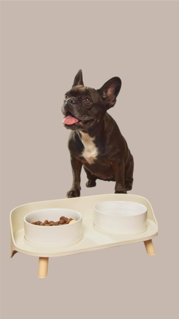 Double bowl with stand