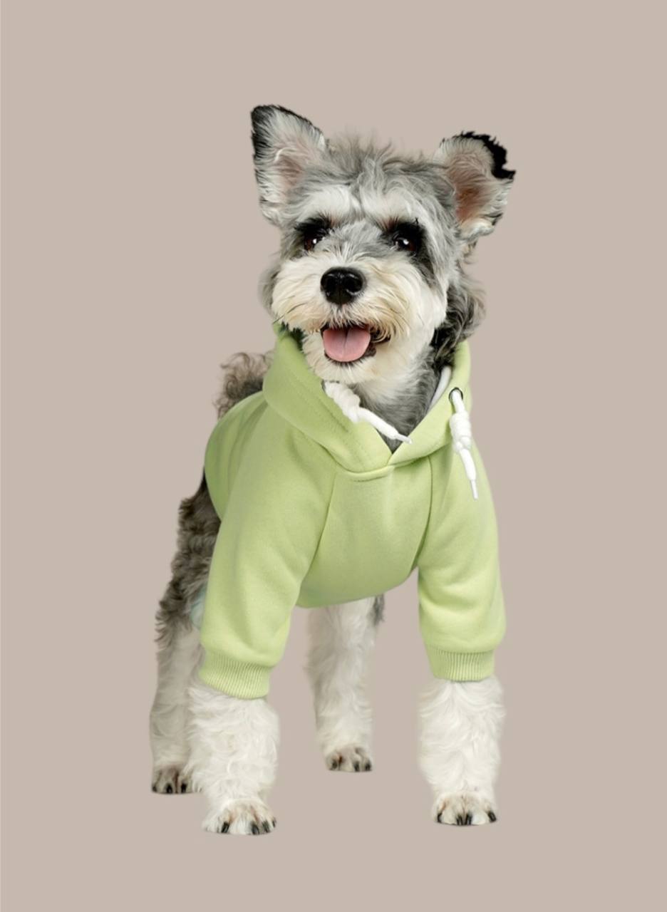 Hoodie for medium and large dogs