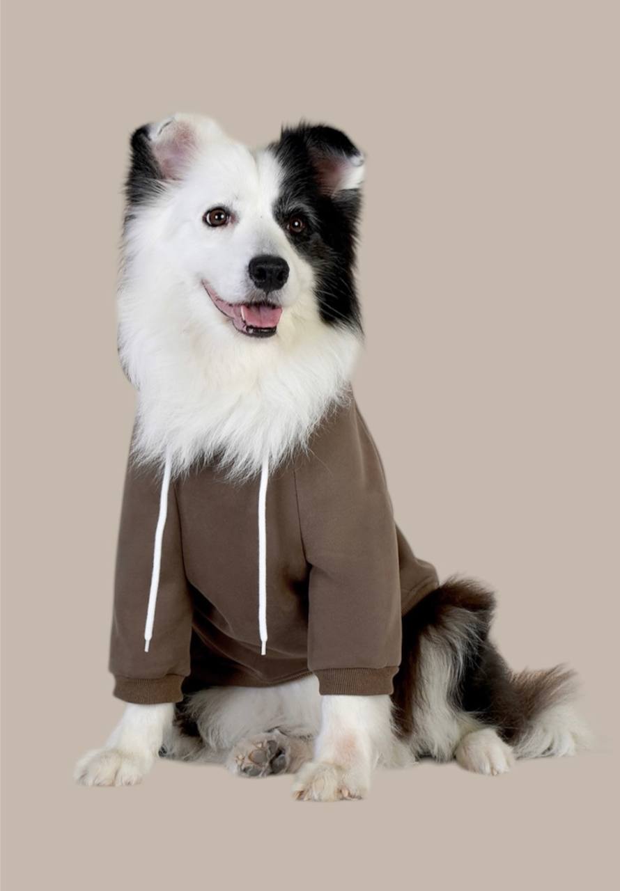 Hoodie for medium and large dogs