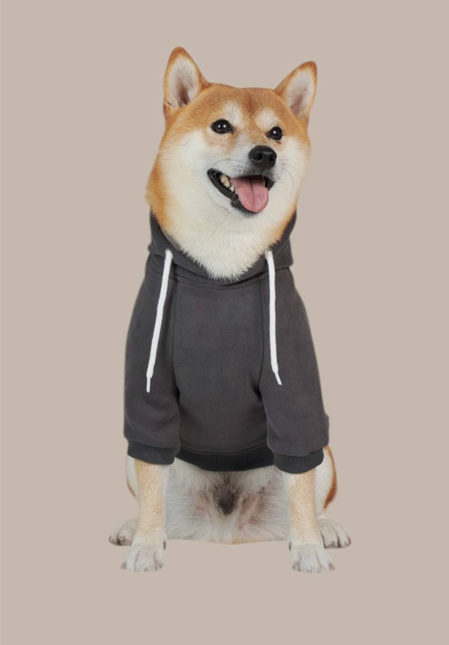 Hoodie for medium and large dogs