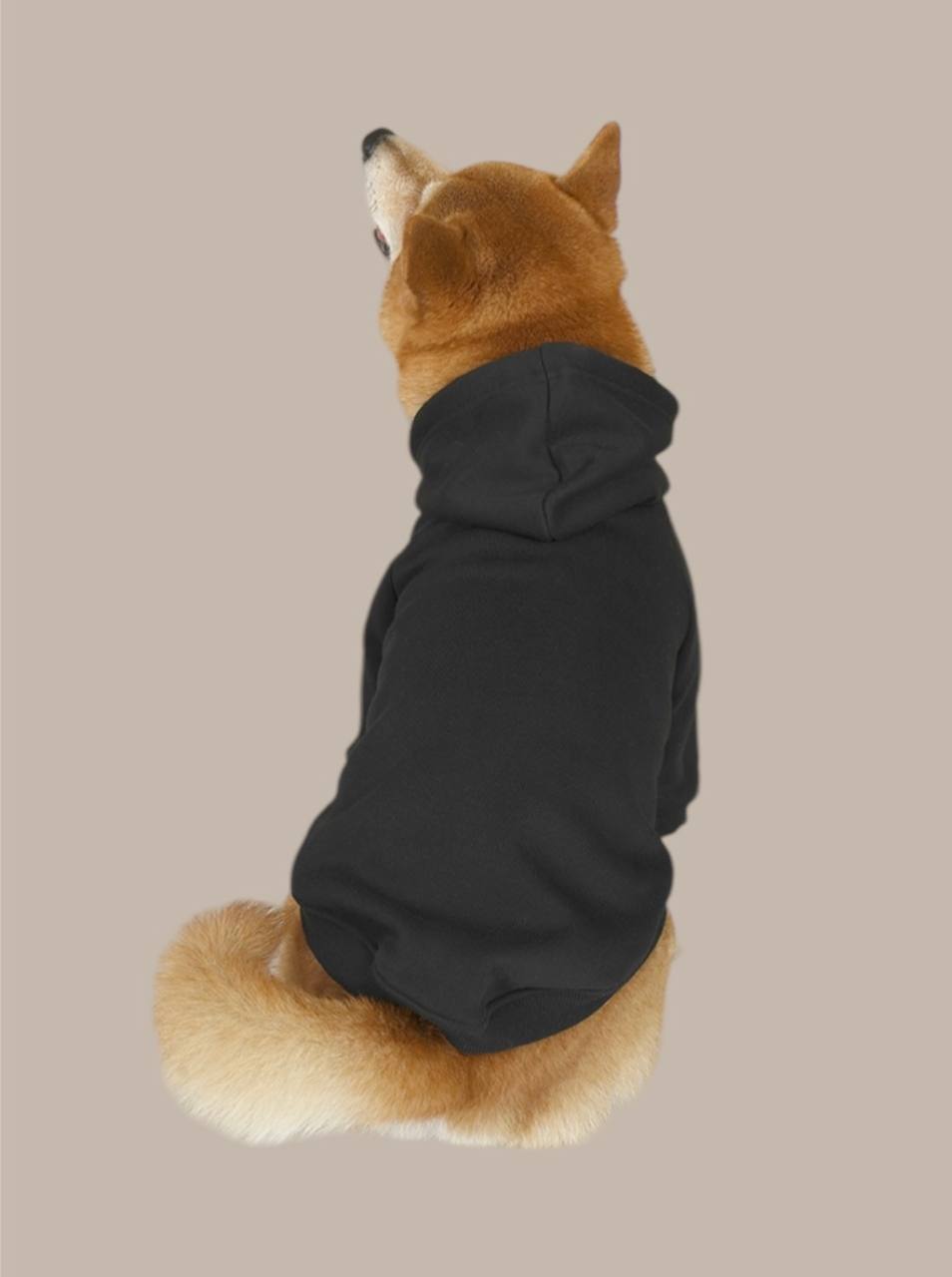 Hoodie for medium and large dogs