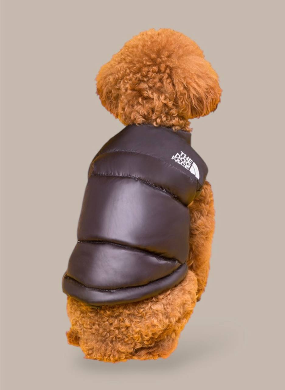 Vest for your pet