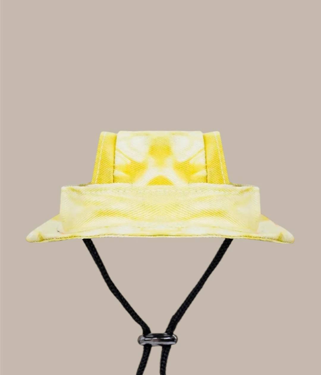 Panama hat for your pet