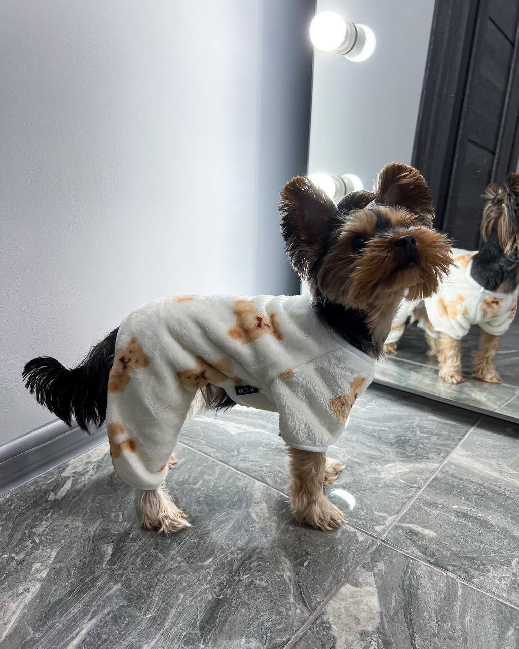 Pajamas for a dog 🐶