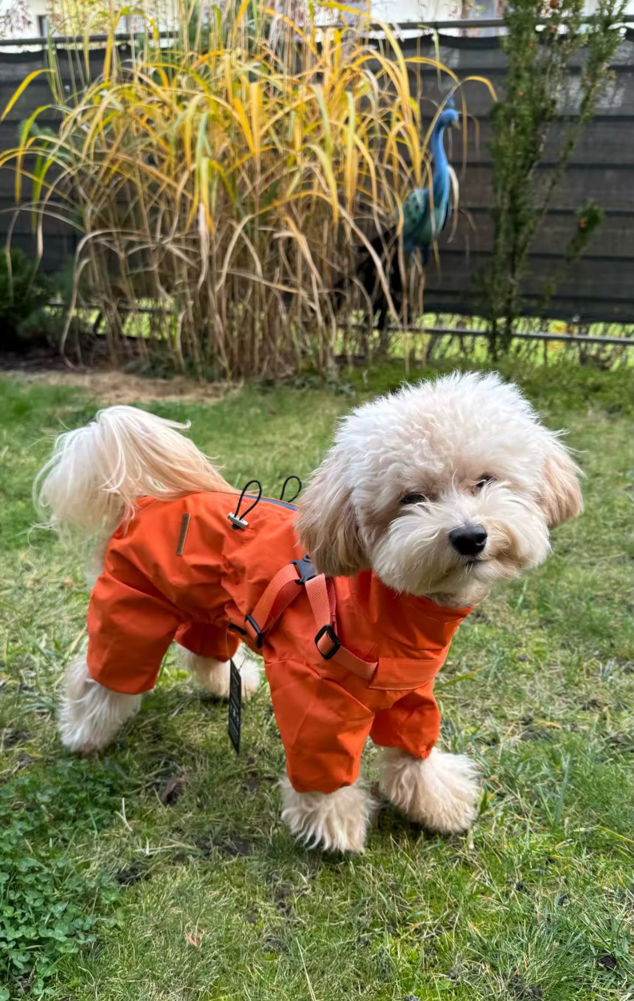 Raincoat-overalls protection from rain and wind