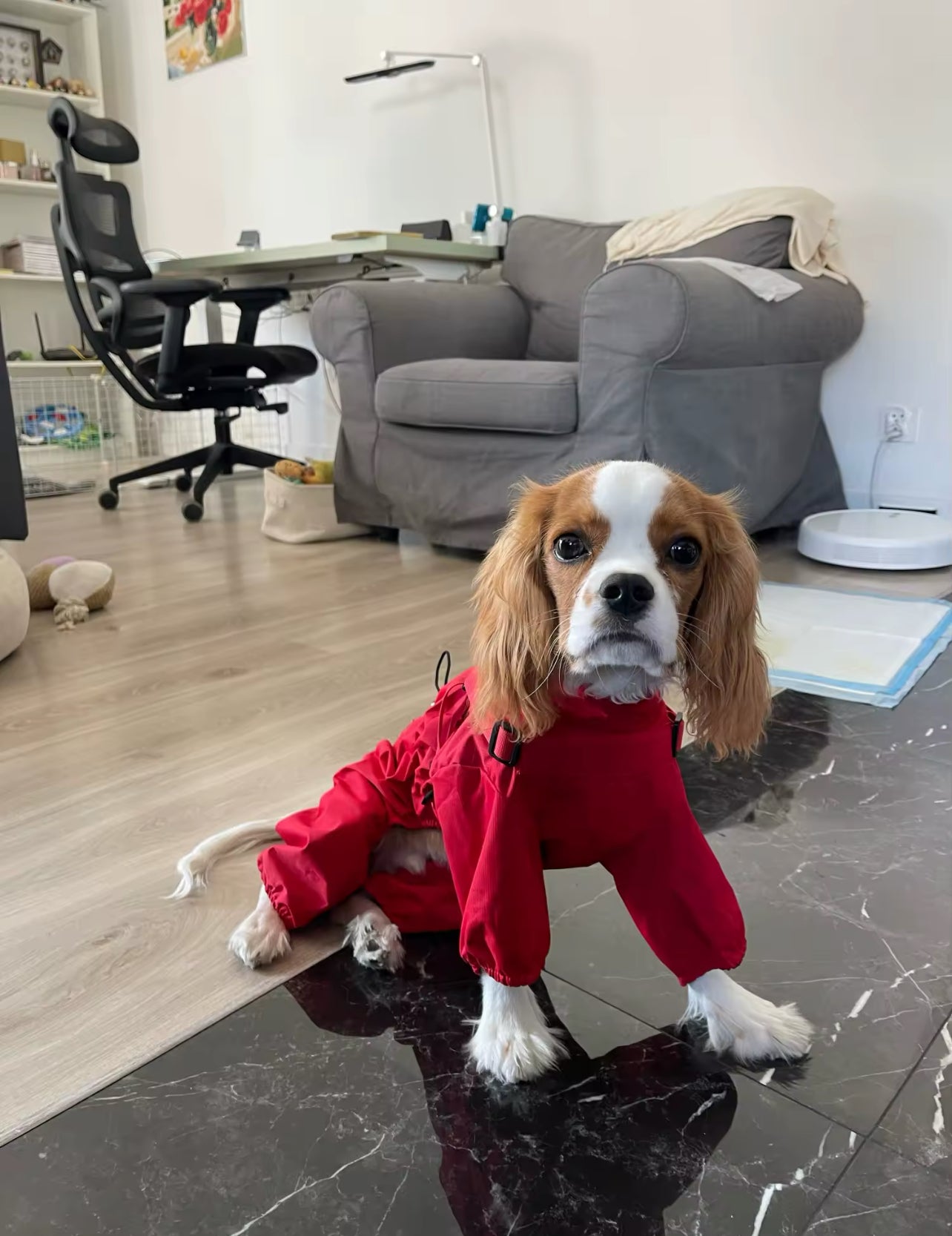 Raincoat-overalls protection from rain and wind