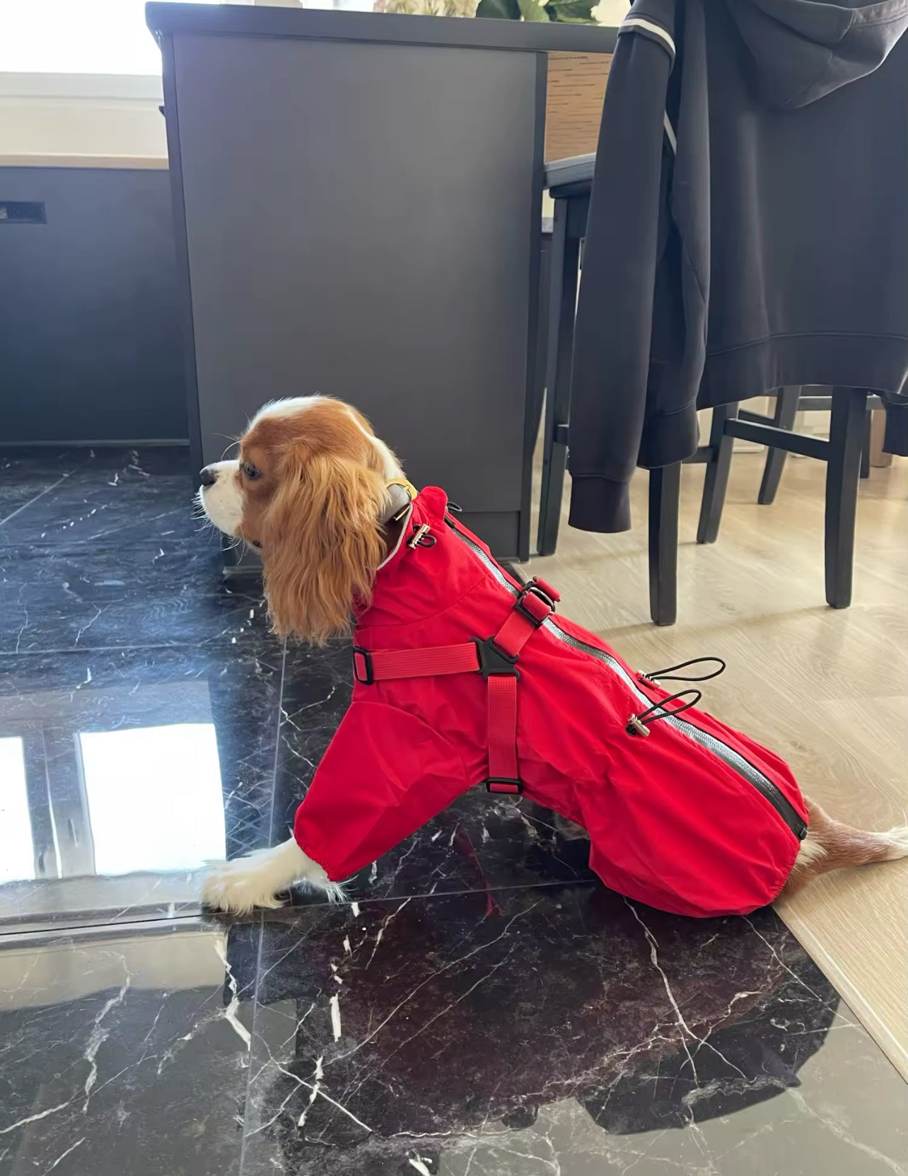 Raincoat-overalls protection from rain and wind