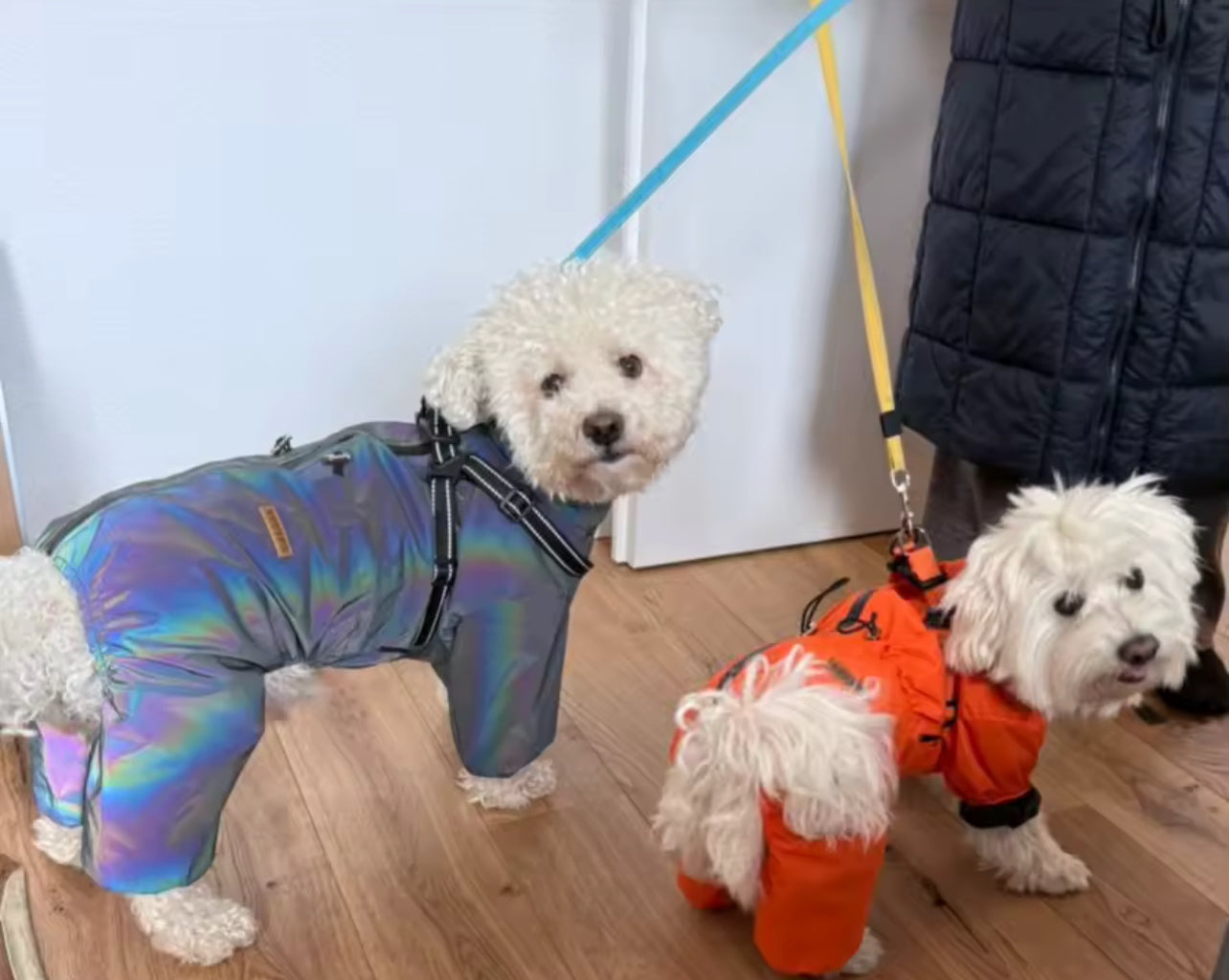Raincoat-overalls protection from rain and wind