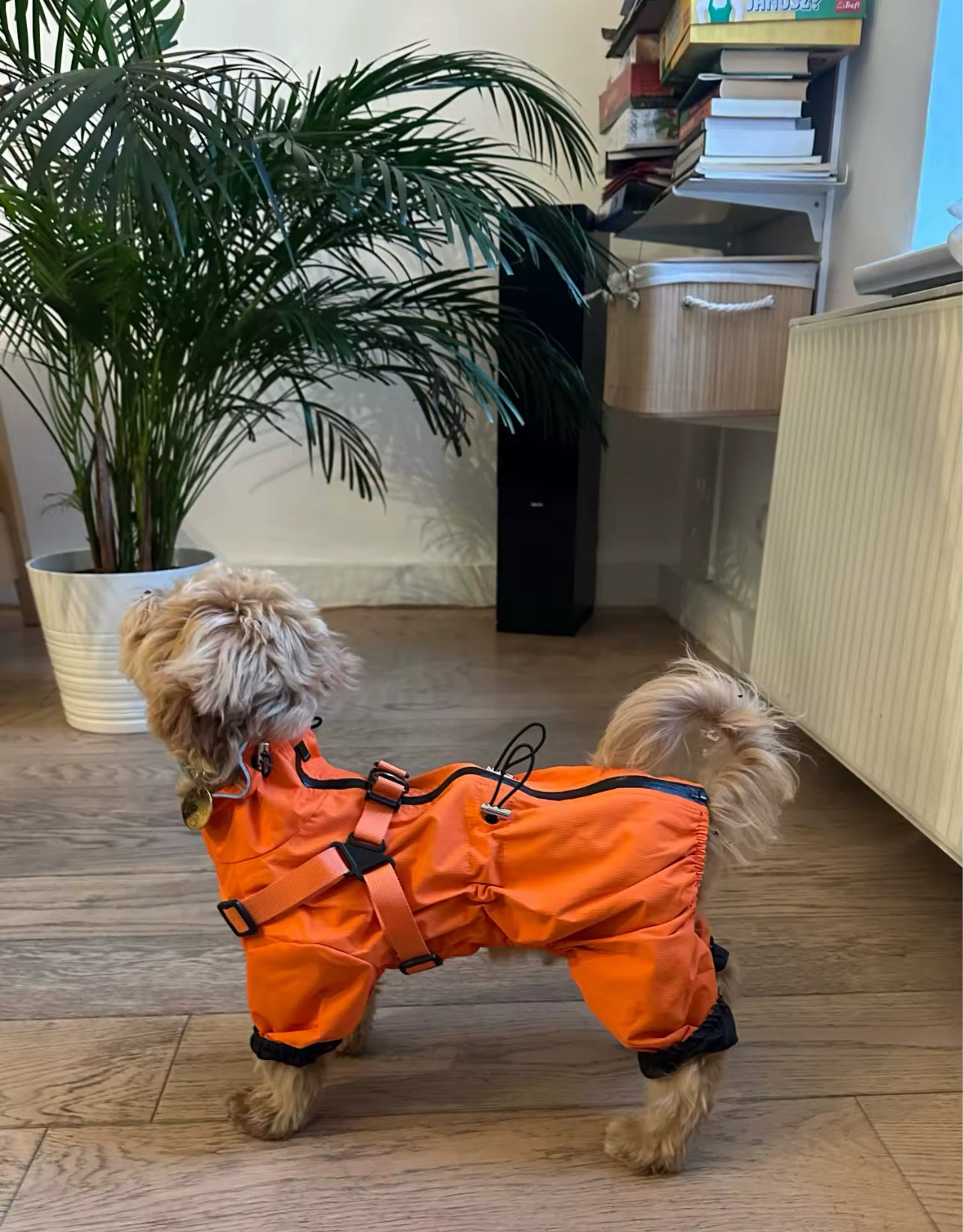 Raincoat-overalls protection from rain and wind