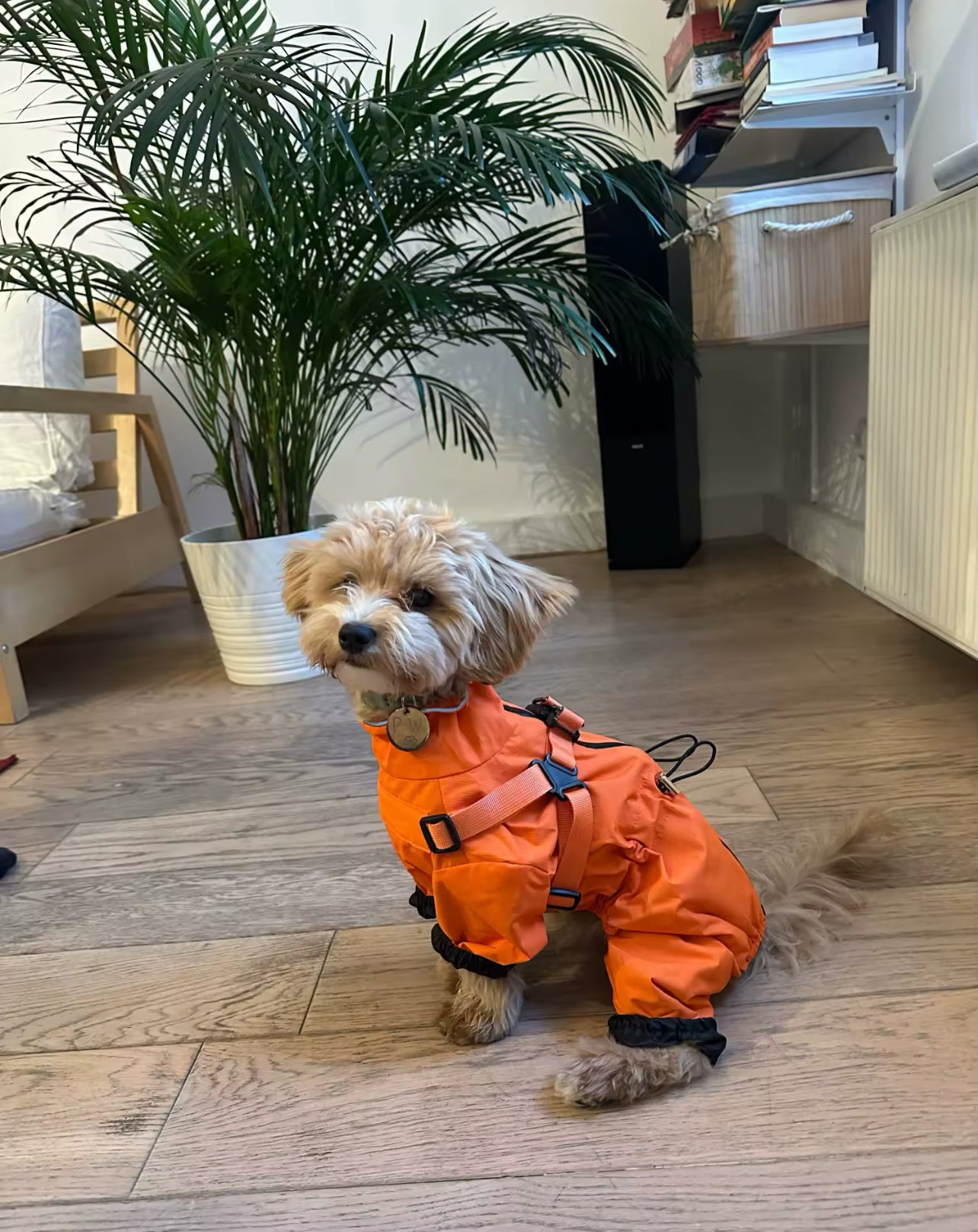 Raincoat-overalls protection from rain and wind
