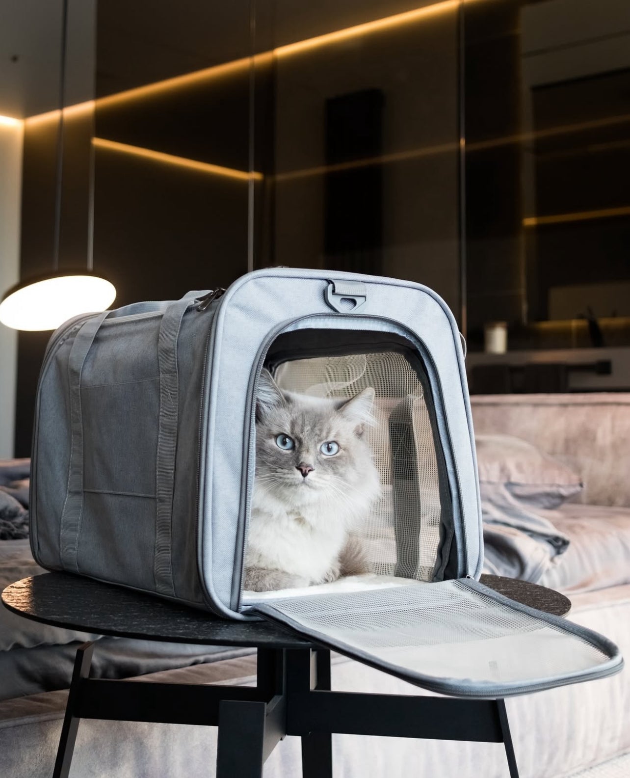 Minimalist & Ultra-Functional Pet Carrier + free shipping 🎁