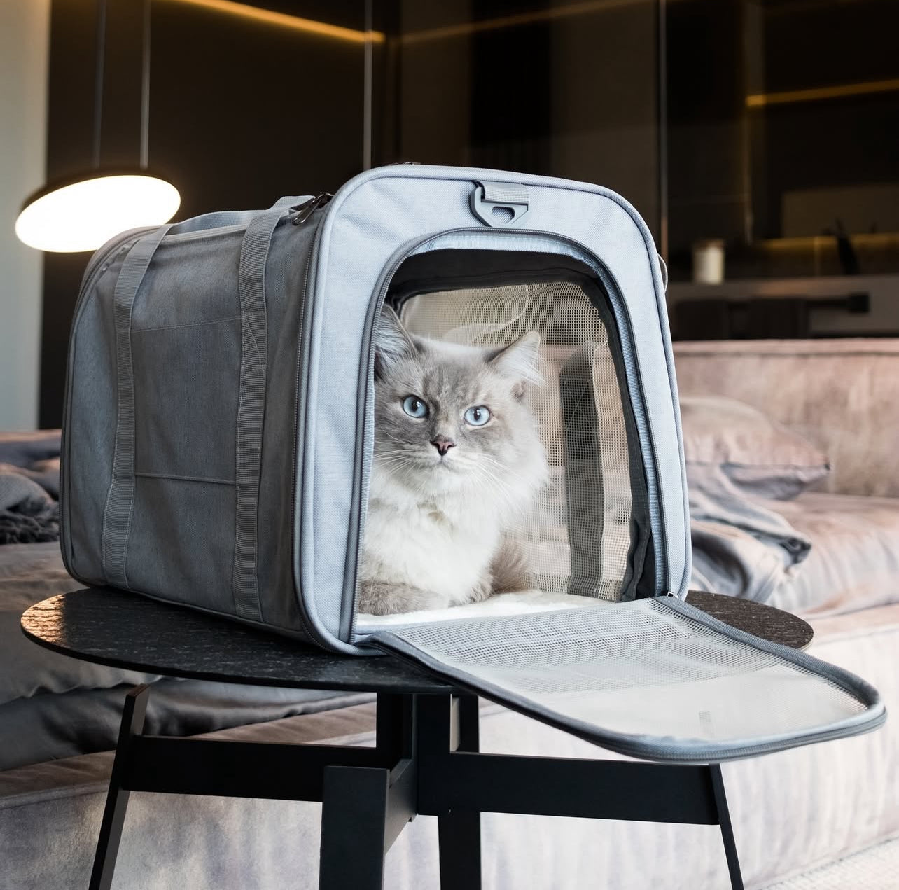 Minimalist & Ultra-Functional Pet Carrier + free shipping 🎁