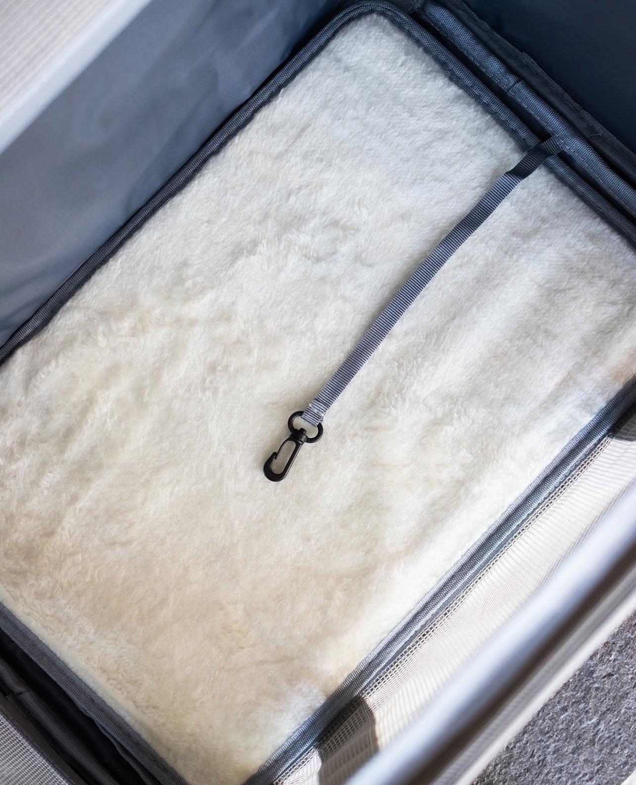 Minimalist & Ultra-Functional Pet Carrier + free shipping 🎁