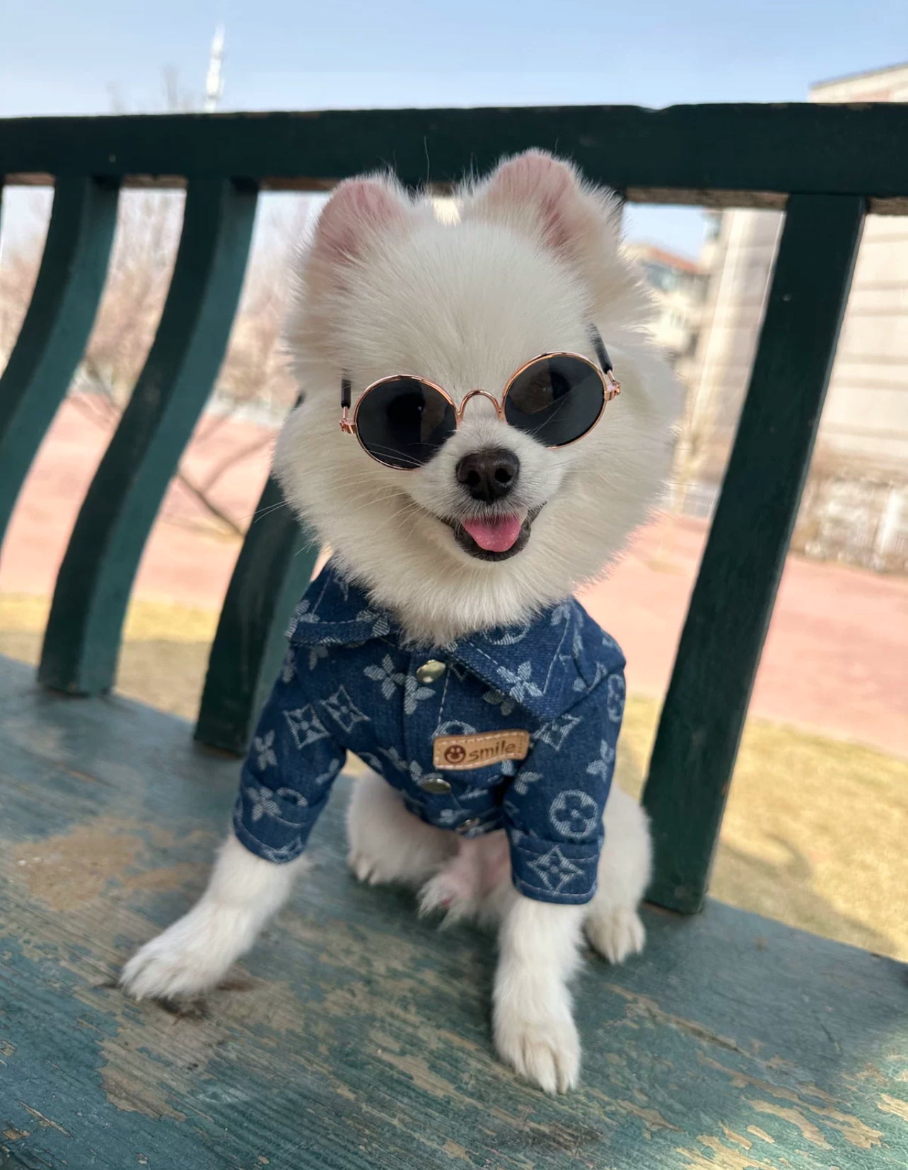 Luxury Denim Shirt for Dogs & Cats – Stylish Monogram Pet Apparel