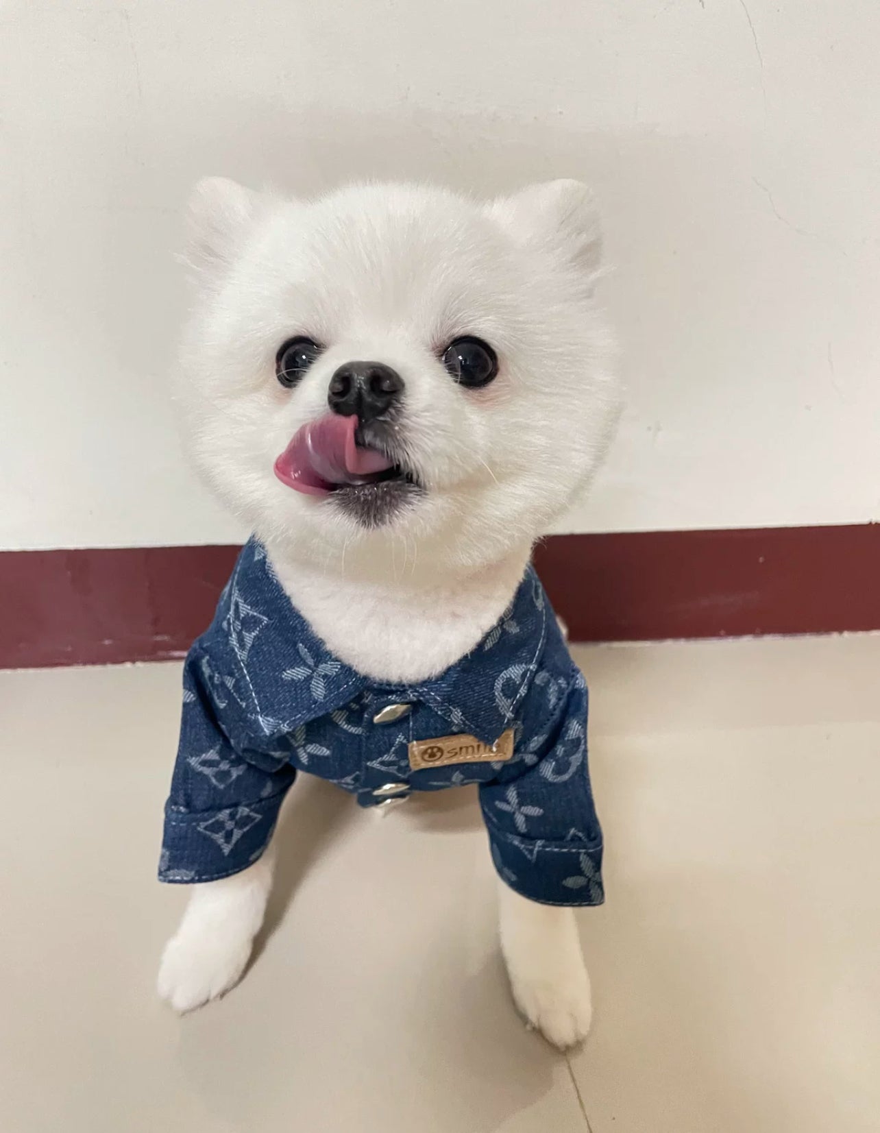 Luxury Denim Shirt for Dogs & Cats – Stylish Monogram Pet Apparel