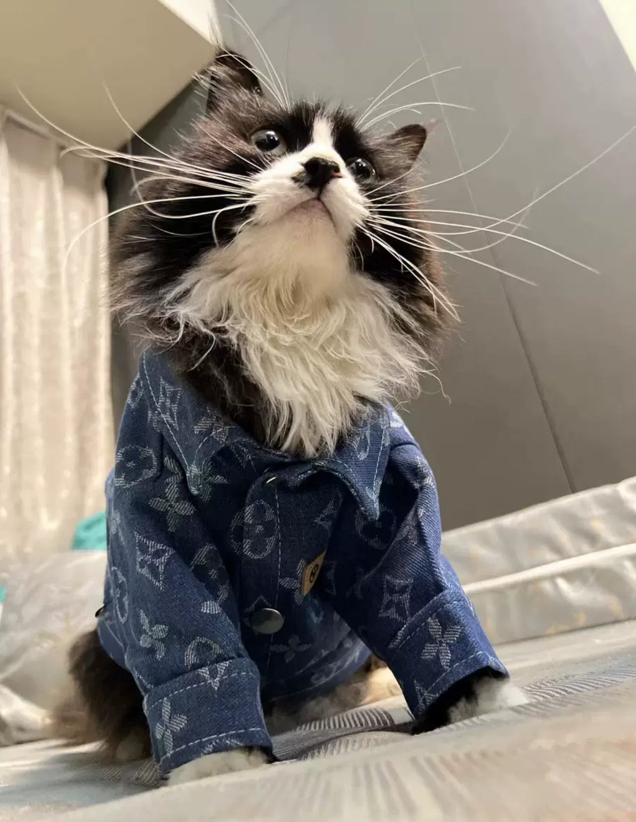 Luxury Denim Shirt for Dogs & Cats – Stylish Monogram Pet Apparel