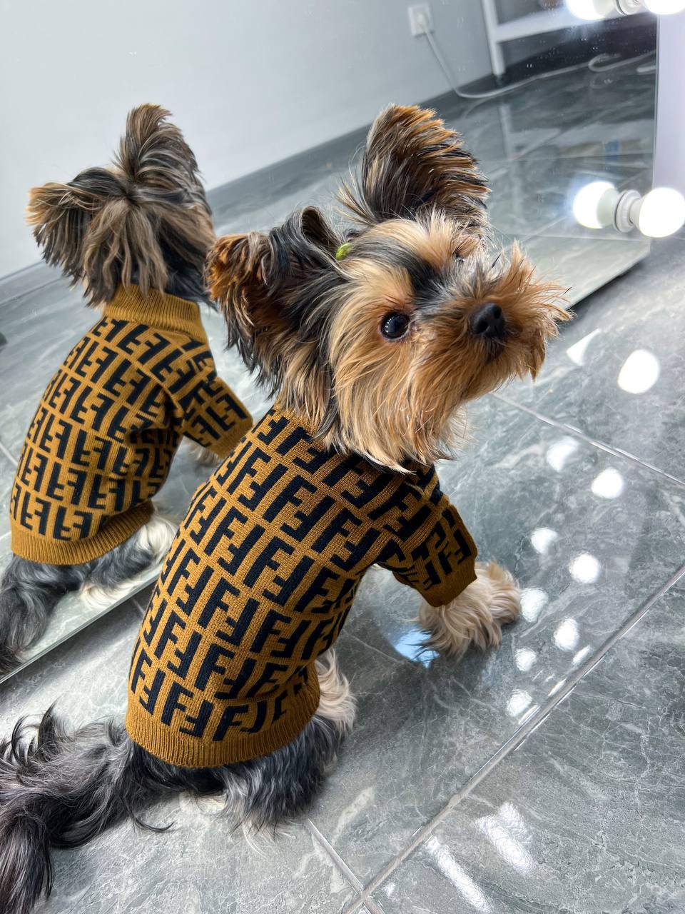 Sweater for stylish ponytails