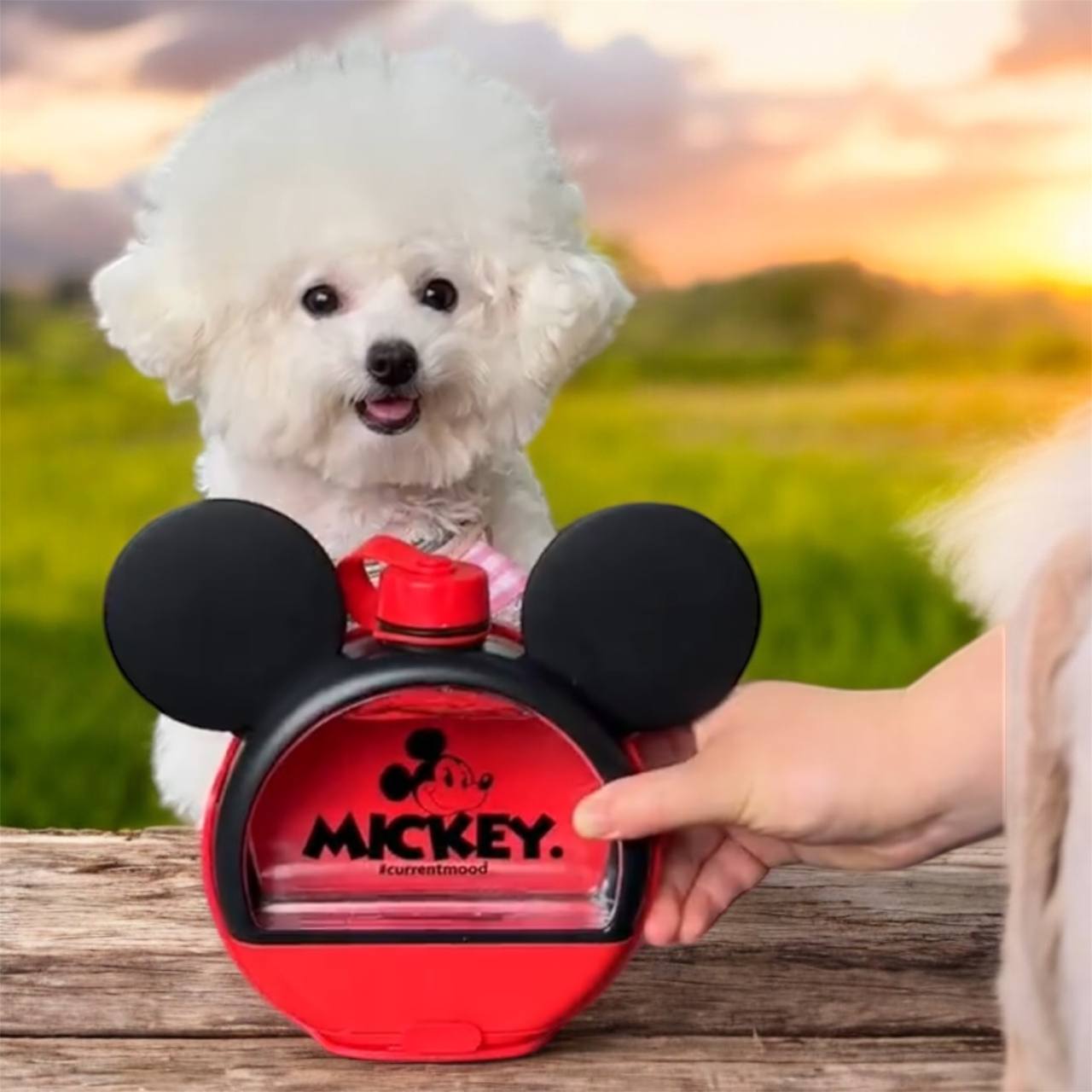 Mickey Mouse Water Bottle & Snack Container – 13.5 oz 🐭✨