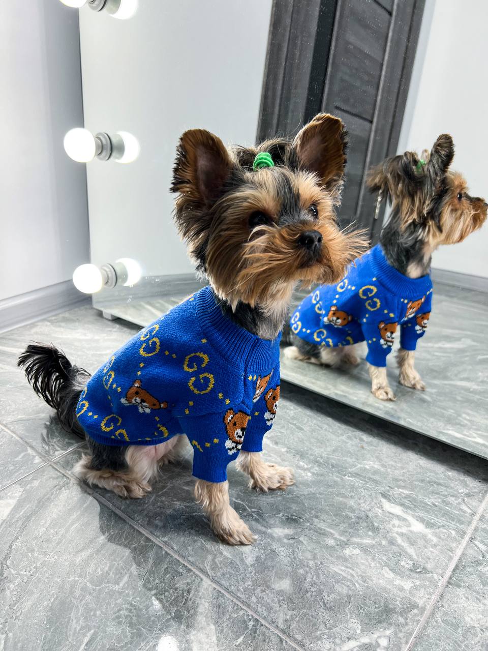 The perfect sweater for your pet