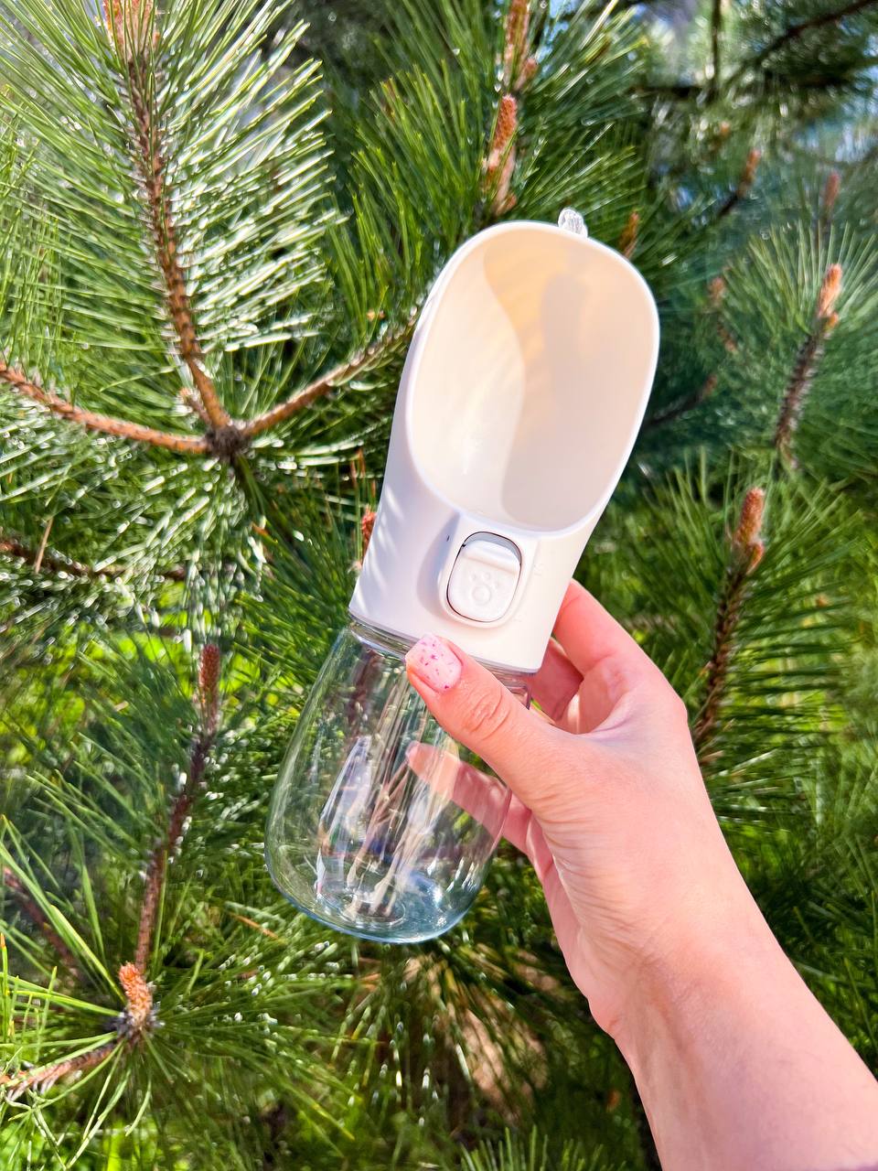 Portable drinking bowls for dogs 🐶