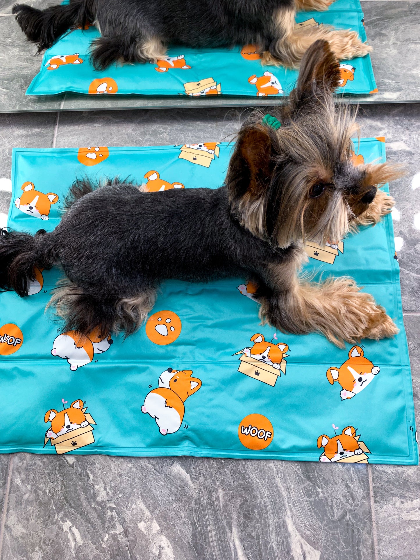 Cooling Mat for Pet