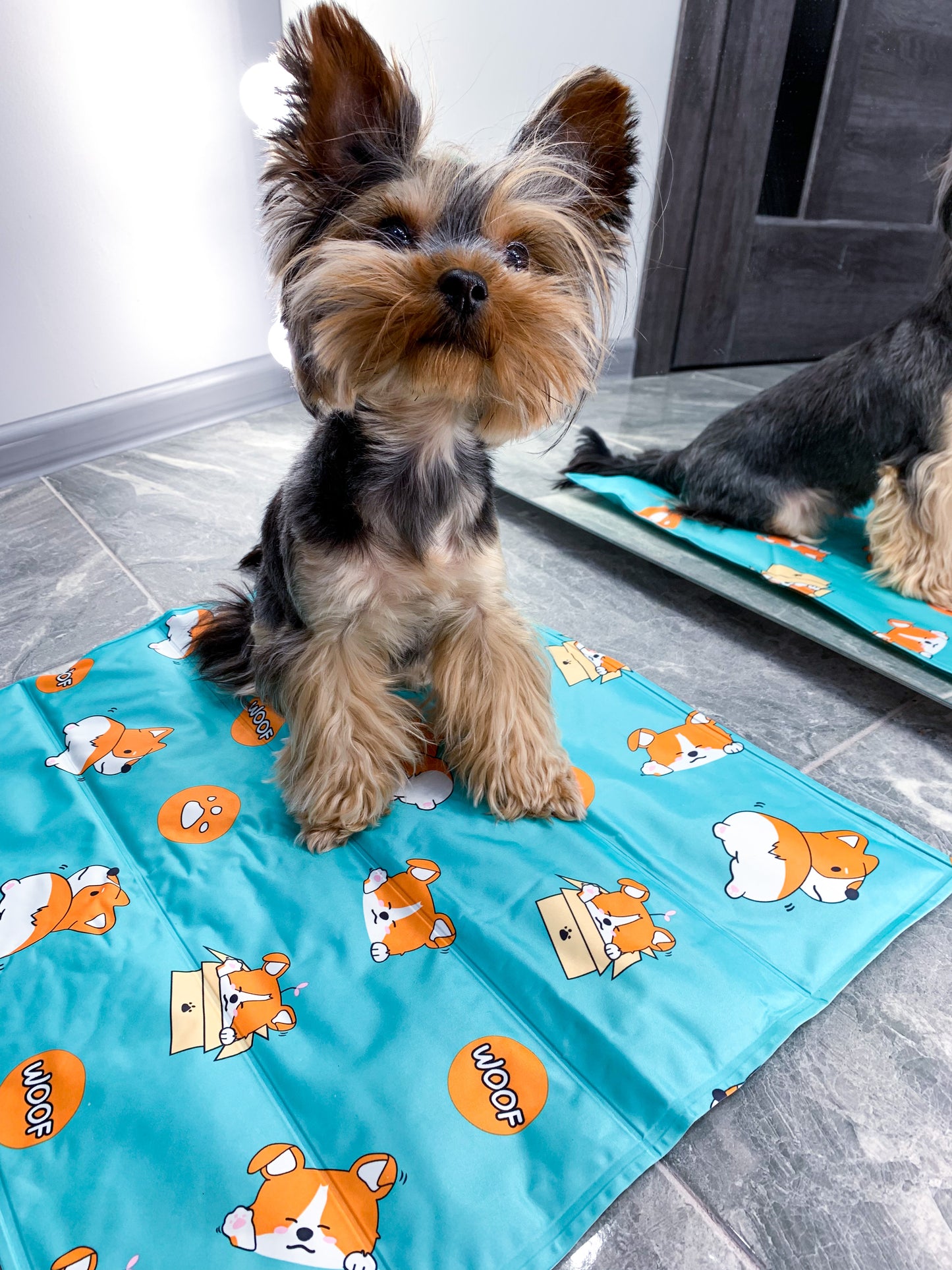 Cooling Mat for Pet