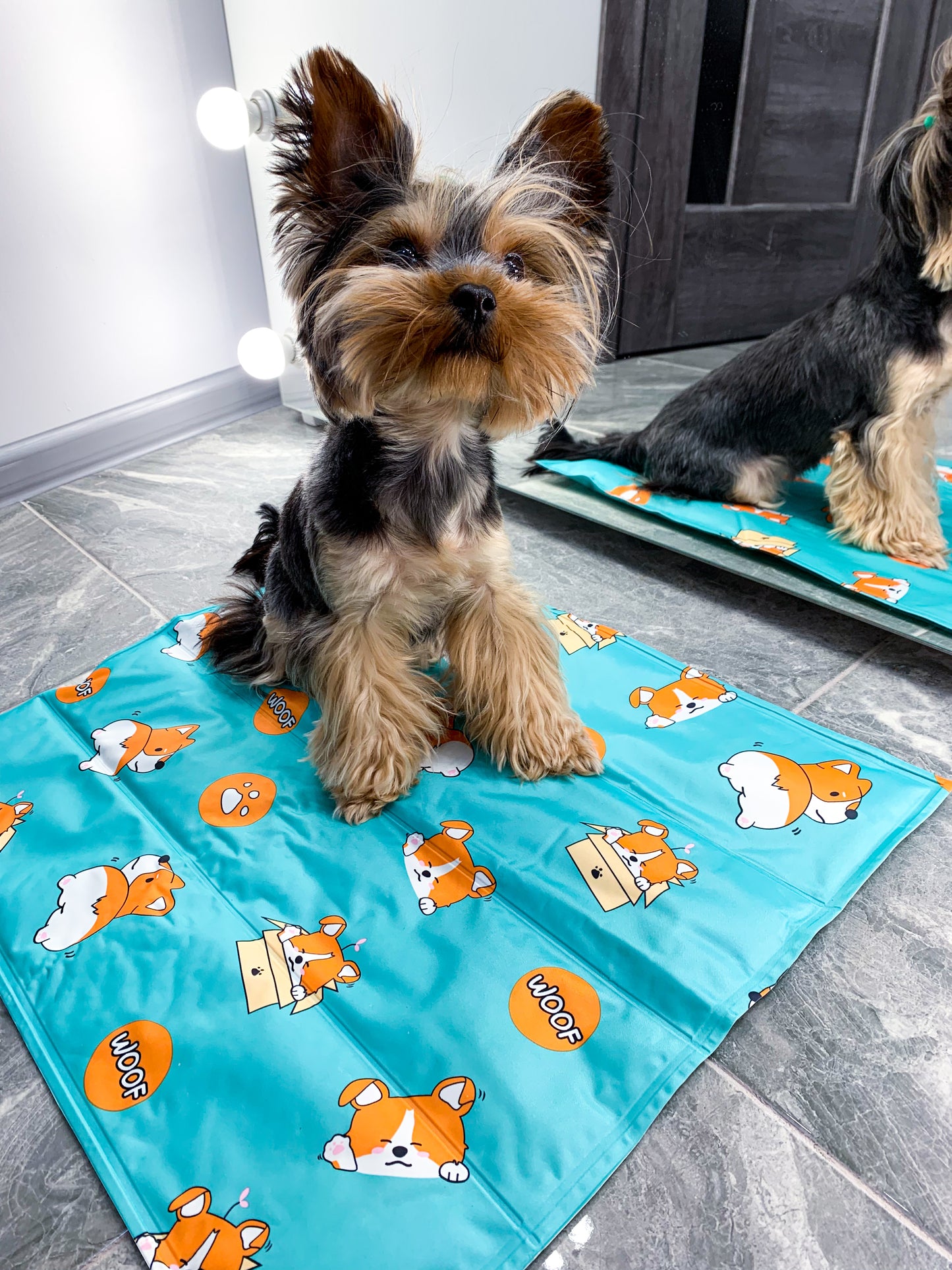 Cooling Mat for Pet