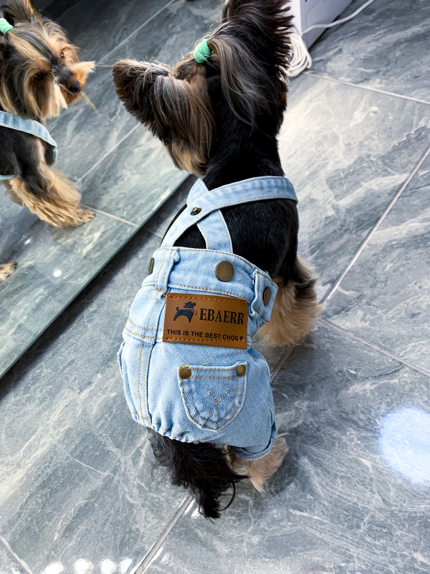 Stylish jeans for your pet 🐾
