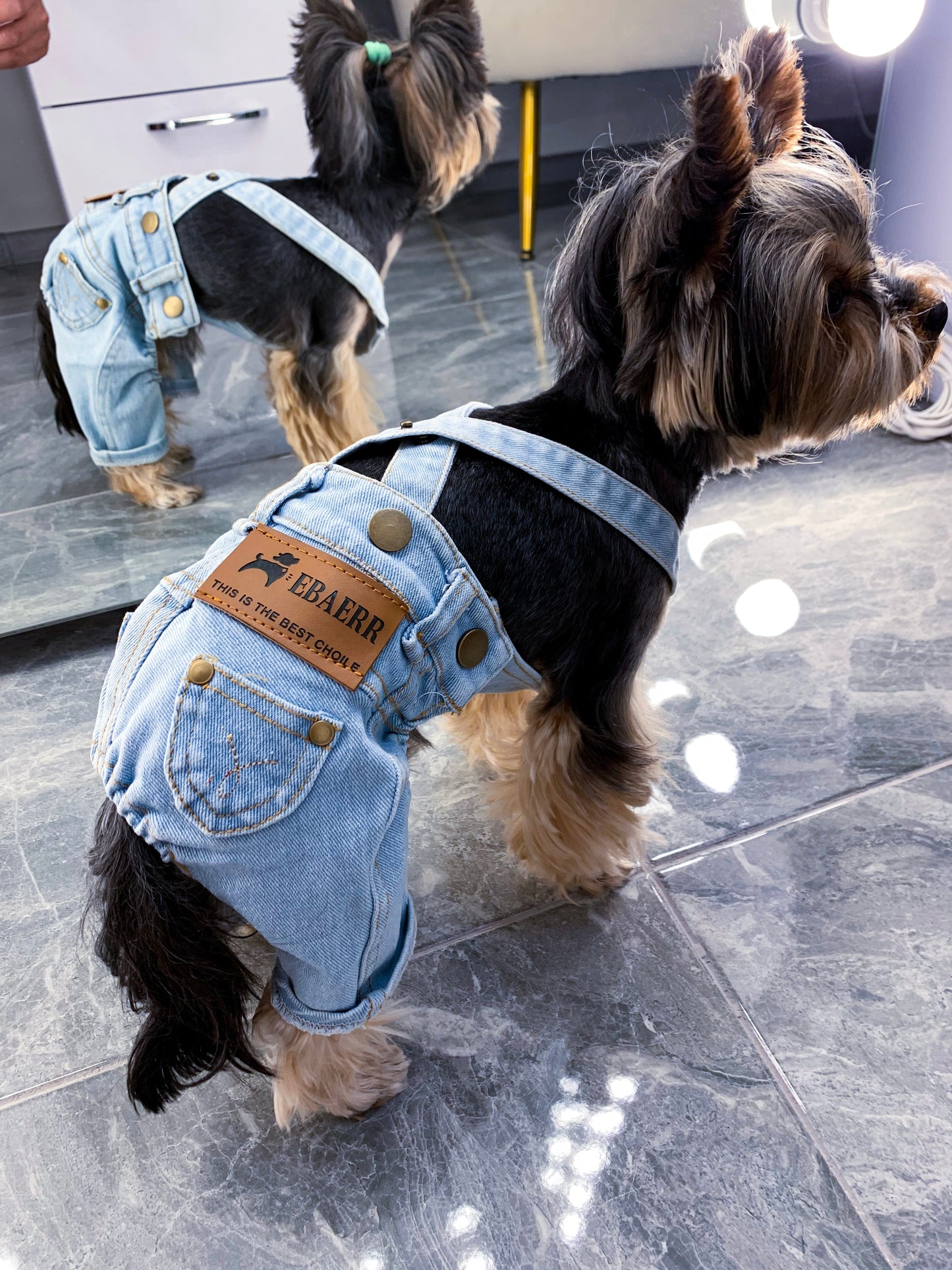Stylish jeans for your pet 🐾