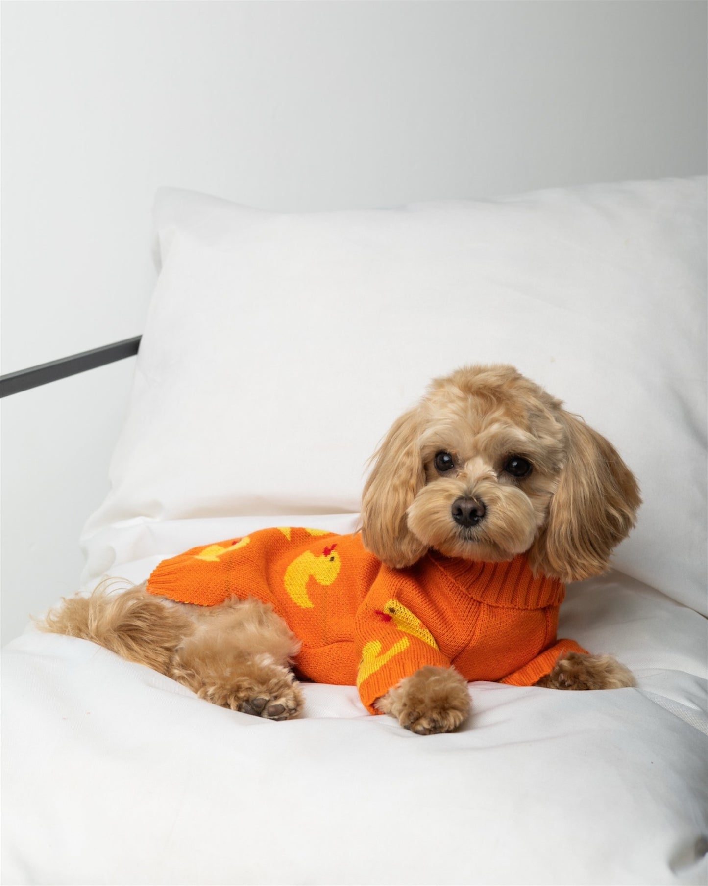 Duckling Warmth – soft, snug, and absolutely adorable