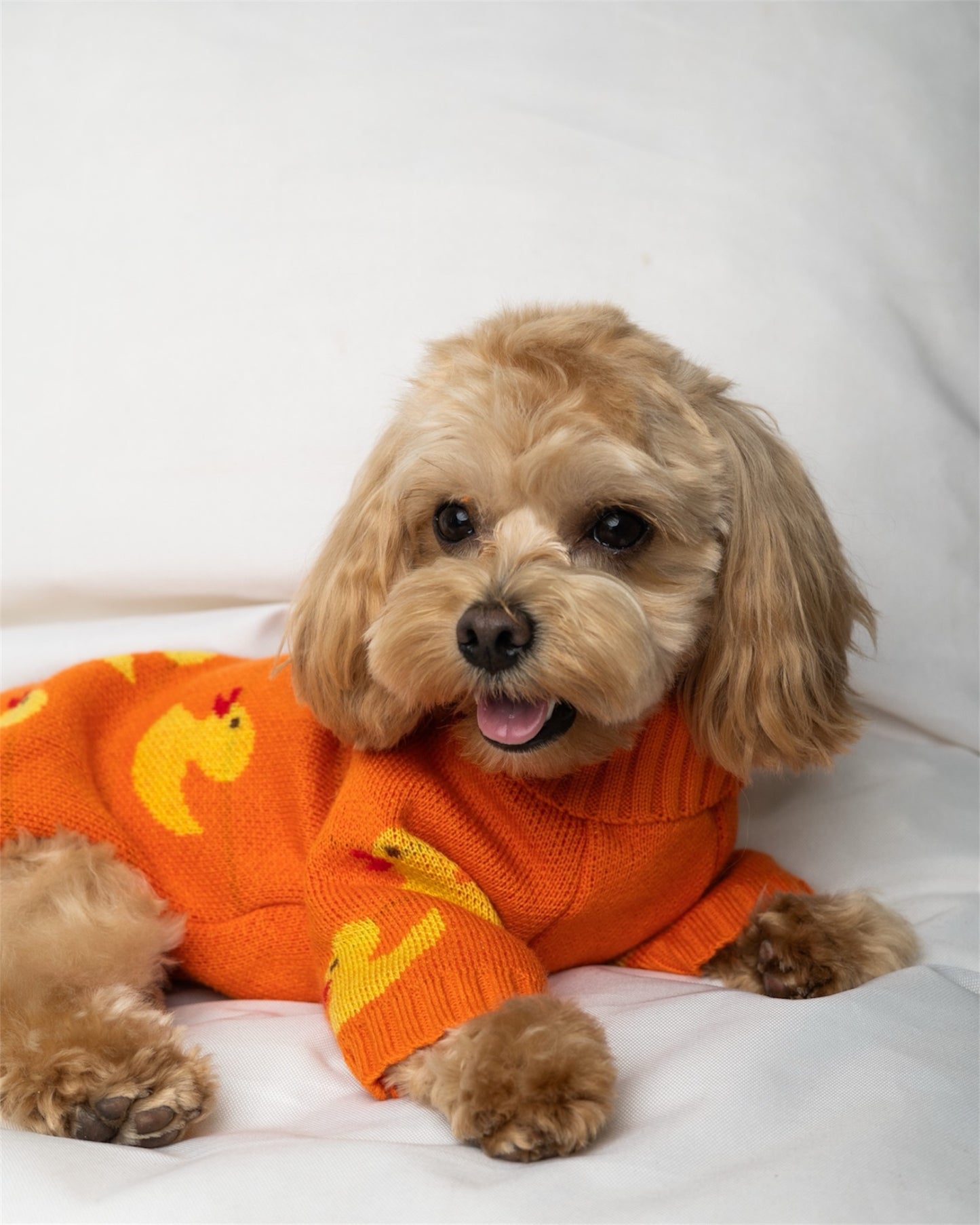 Duckling Warmth – soft, snug, and absolutely adorable