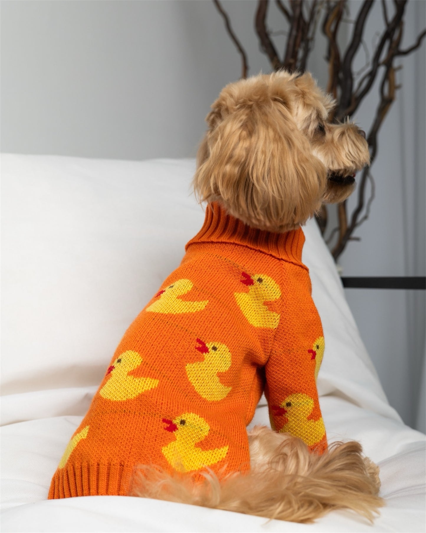 Duckling Warmth – soft, snug, and absolutely adorable