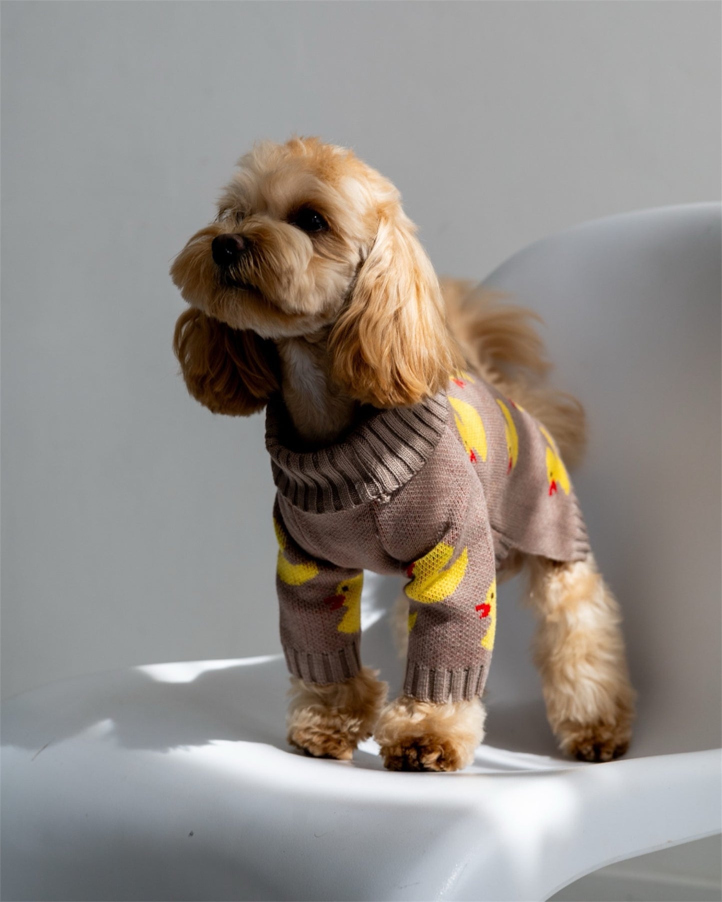 Duckling Warmth – soft, snug, and absolutely adorable