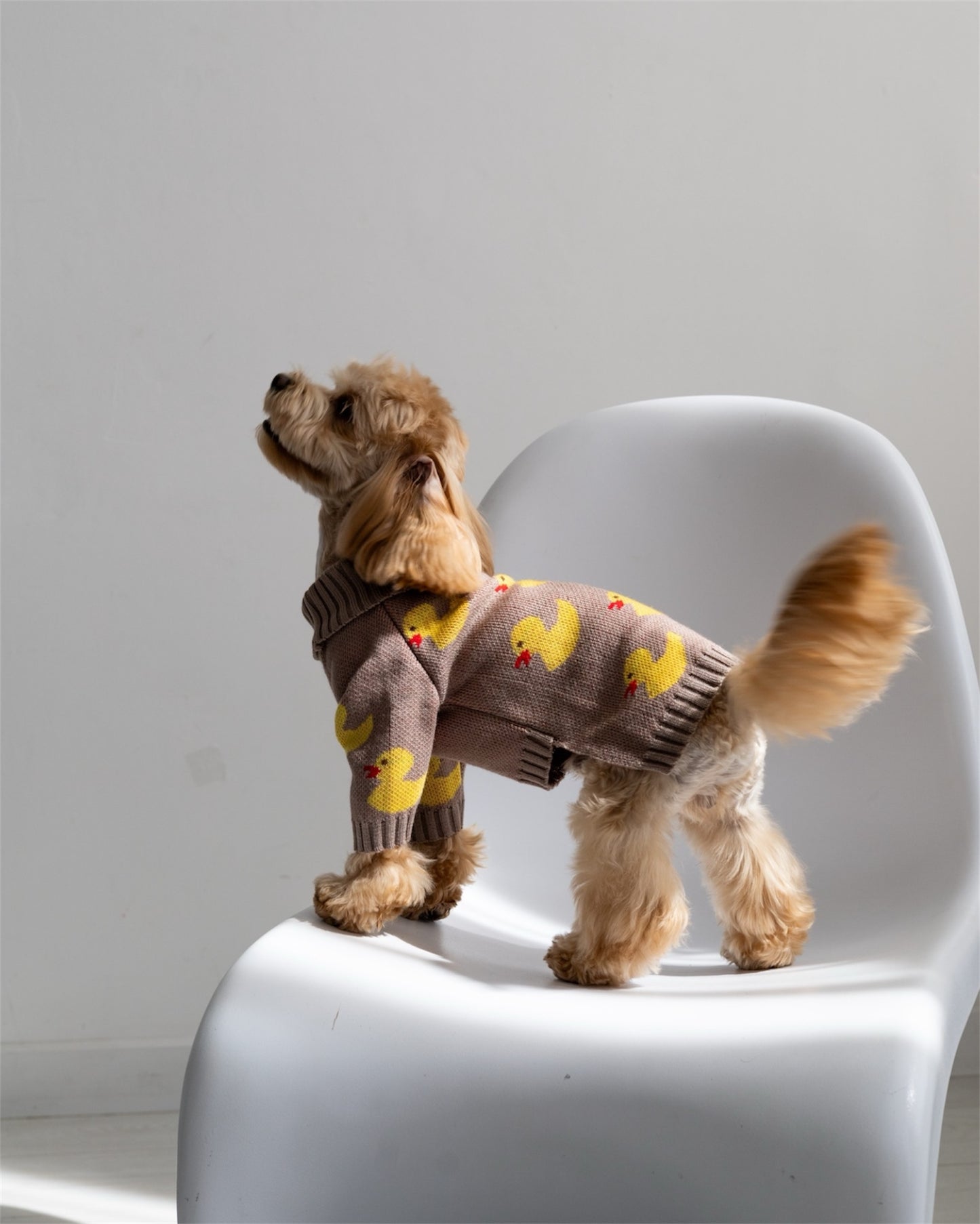 Duckling Warmth – soft, snug, and absolutely adorable