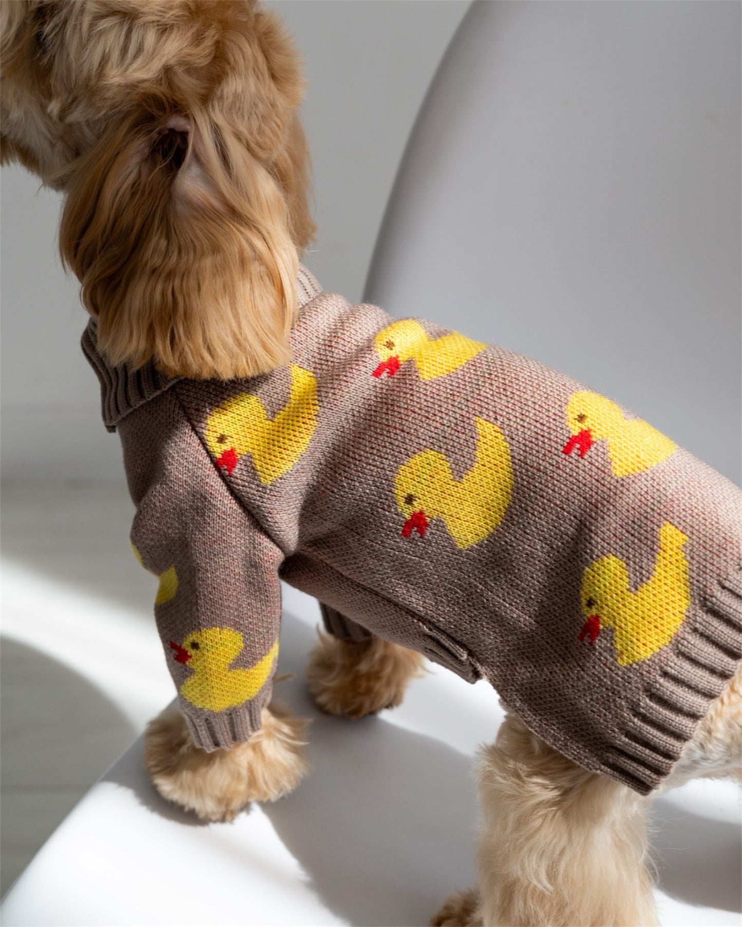 Duckling Warmth – soft, snug, and absolutely adorable