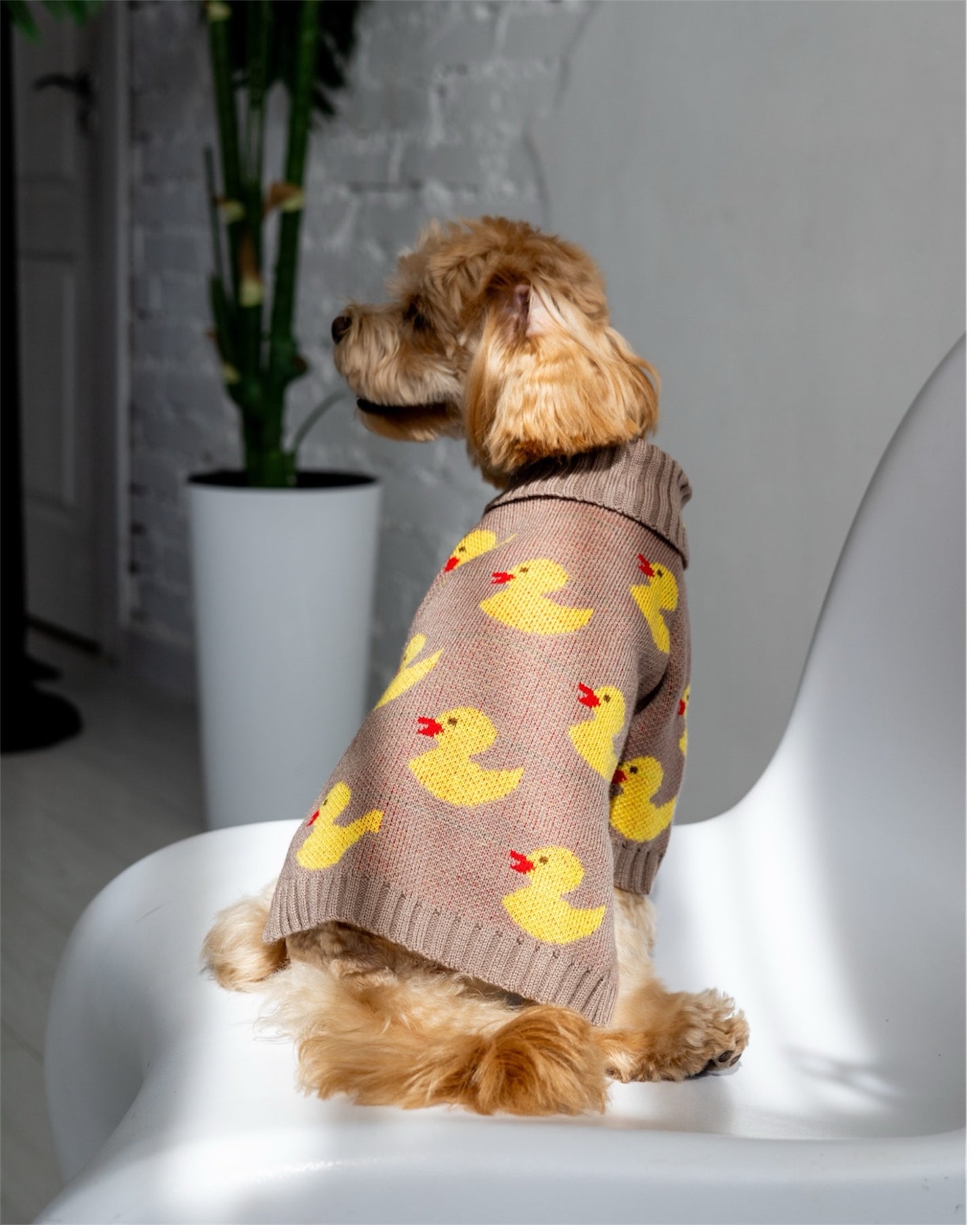 Duckling Warmth – soft, snug, and absolutely adorable